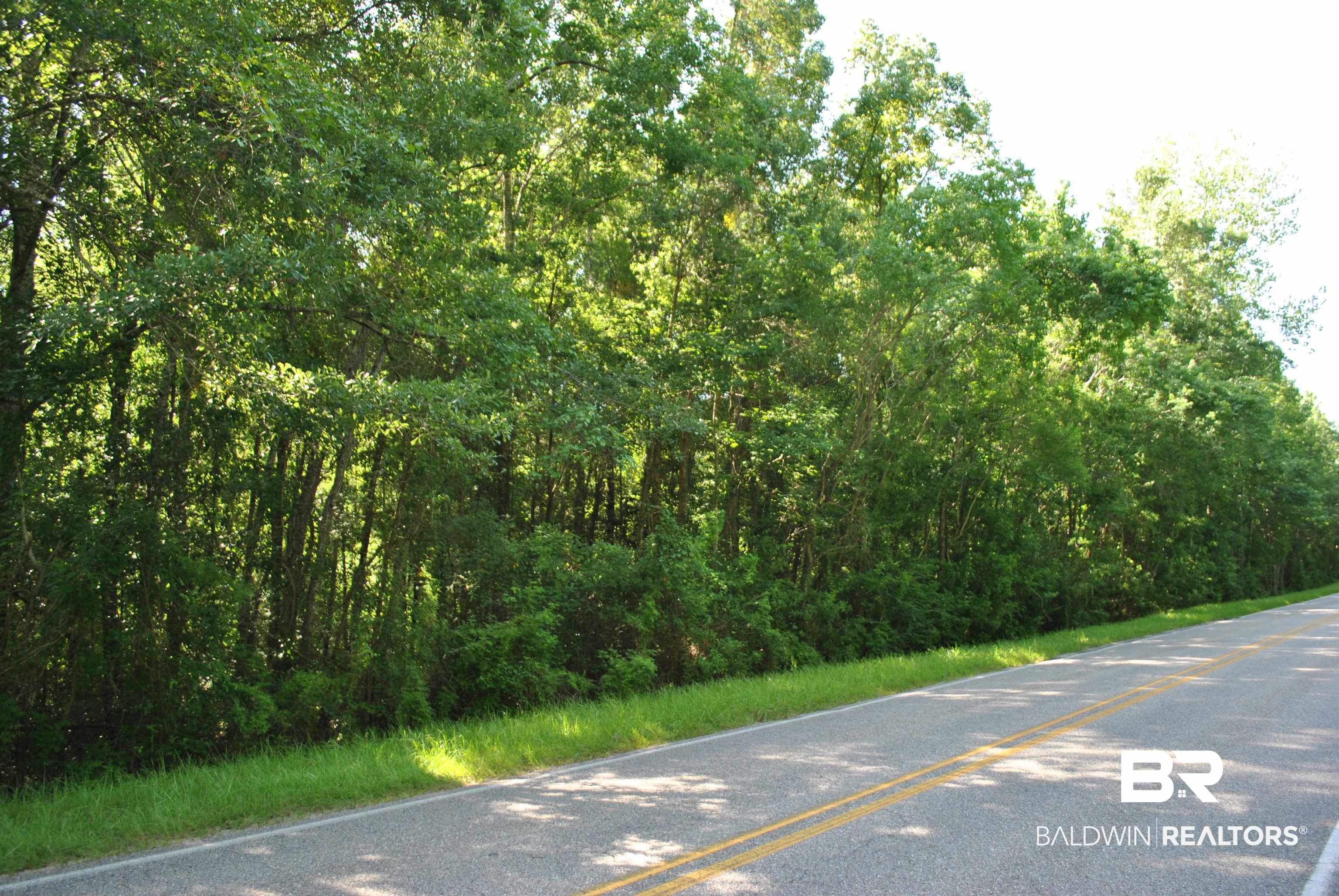 0 Boothe Road Fairhope, AL 36532 - Photo 2 of 7 View of asphalt street with a forest view