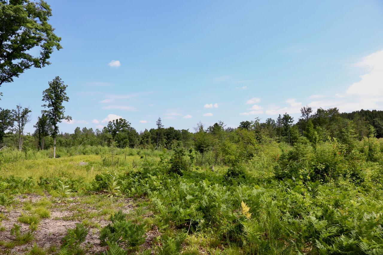 20-ac West Clarence Road Harrison, MI 48625 - Photo 23 of 32 024