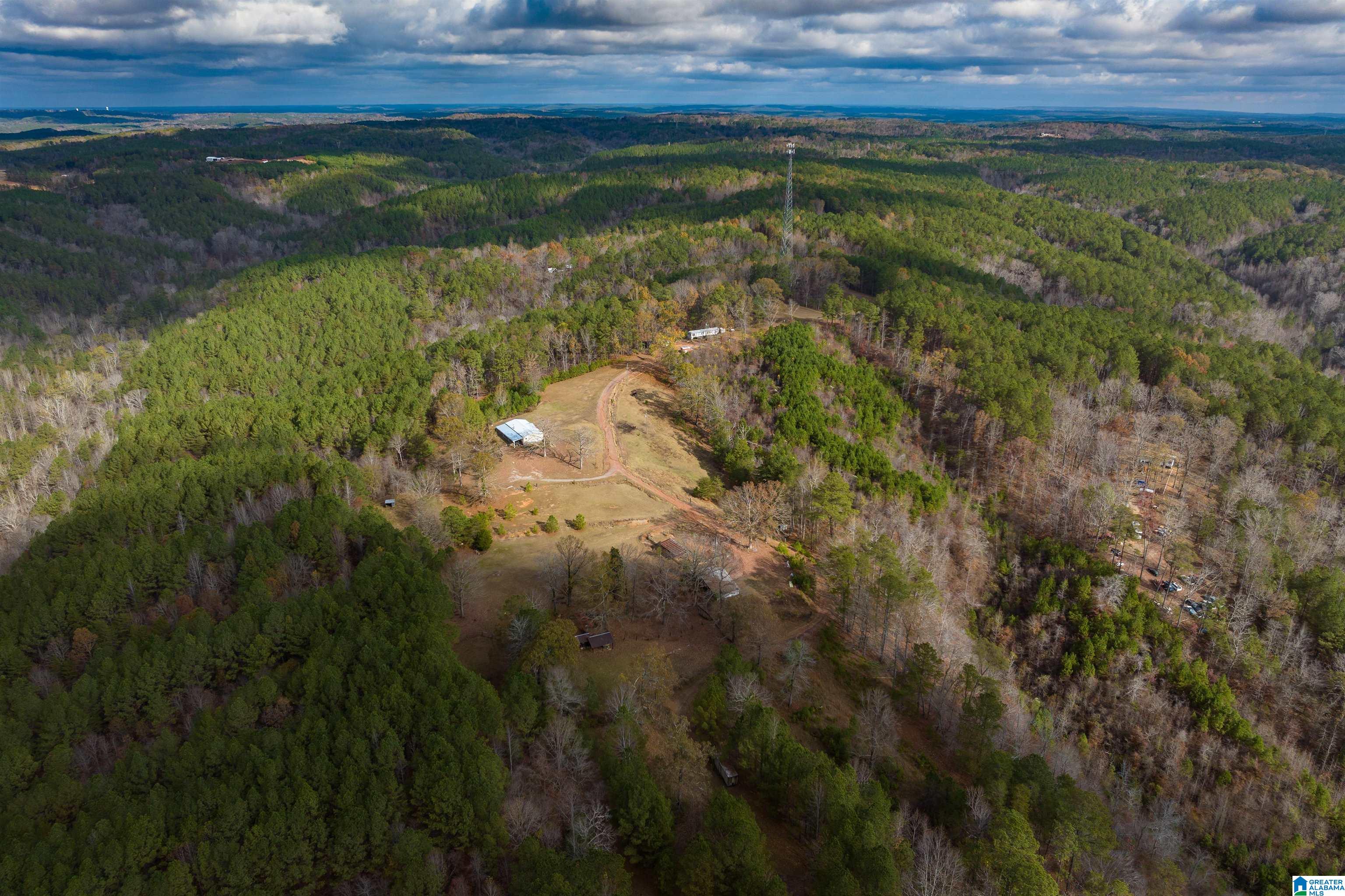 2930 Pridmore Road Quinton, AL 35130 - Photo 29 of 46