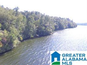 0 Bluff Road, Unit 1 Rockford, AL 35136 - Photo 4 of 18