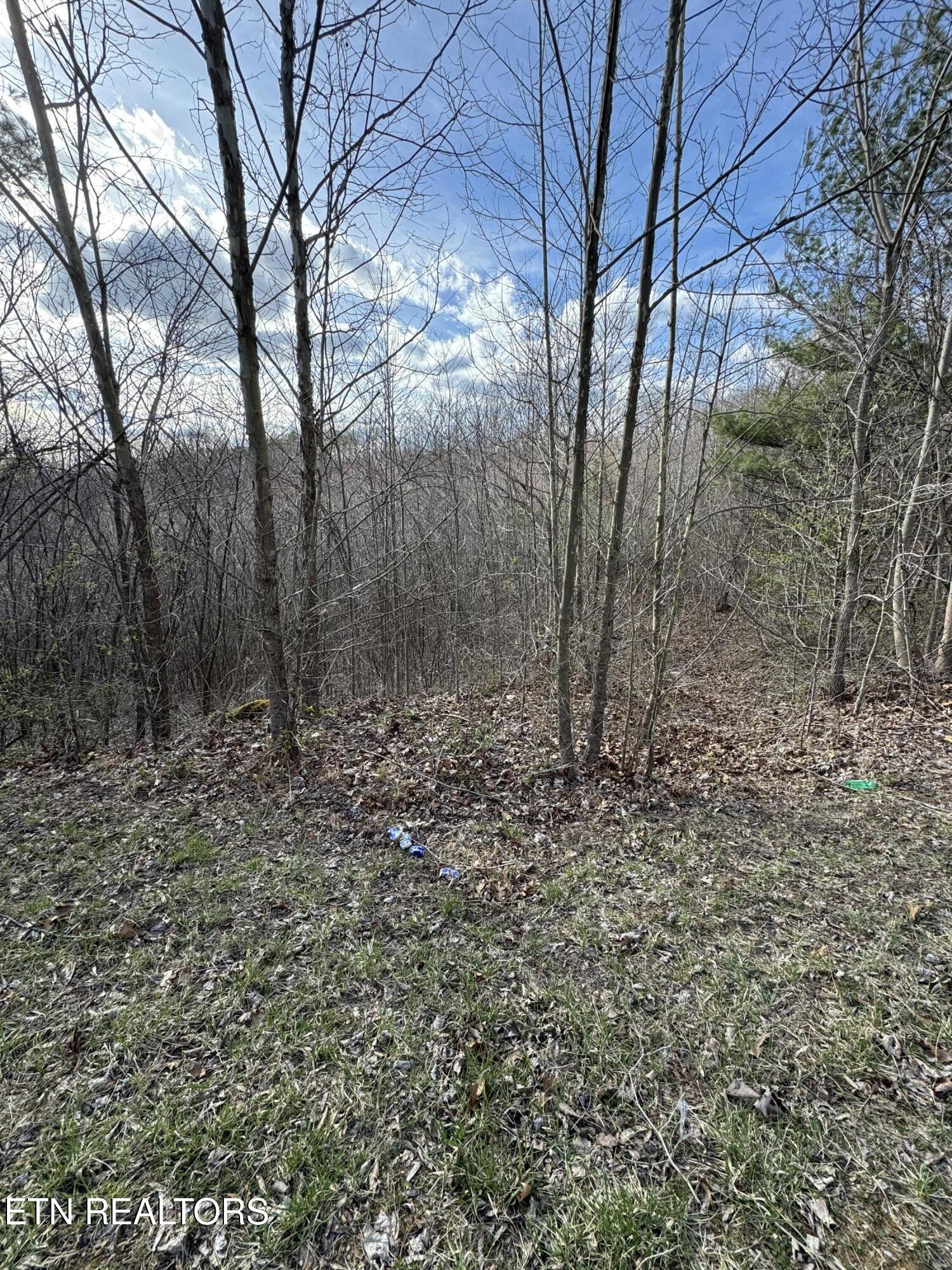 Grape Rough Road Oneida, TN 37841 - Photo 2 of 19 IMG_2097