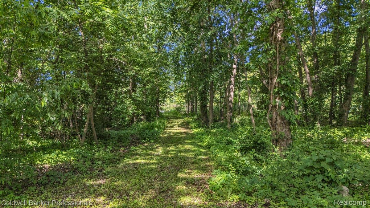 76107 Van Dyke Road Romeo, MI 48065 - Photo 42 of 43 DJI_20260608103043_0844_D.jpg