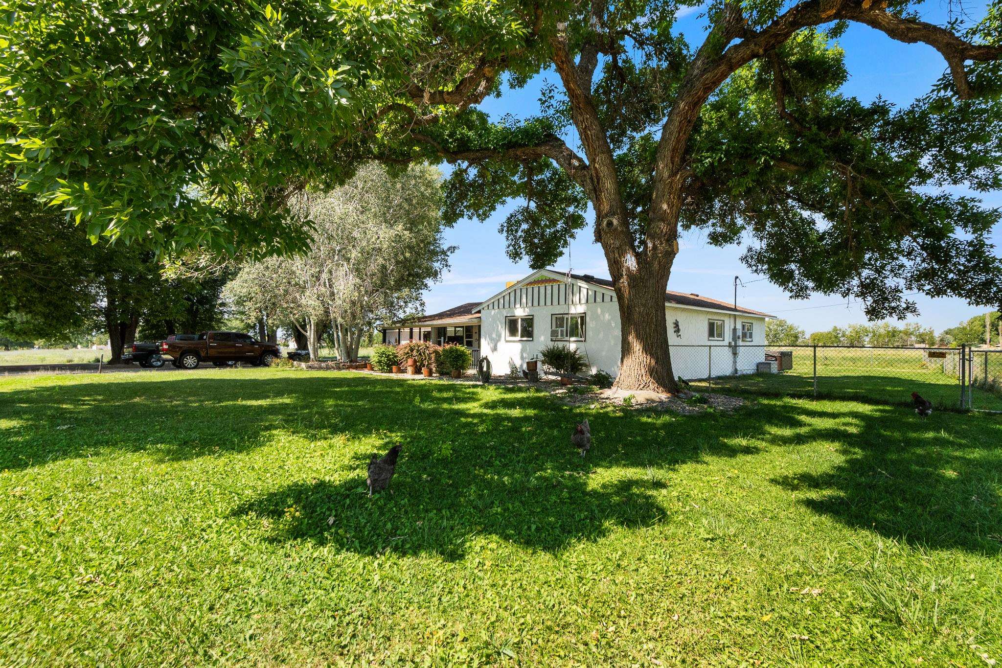 665-30 30 1/2 Road Grand Junction, CO 81504 - Photo 3 of 38 a front view of house with yard and green space