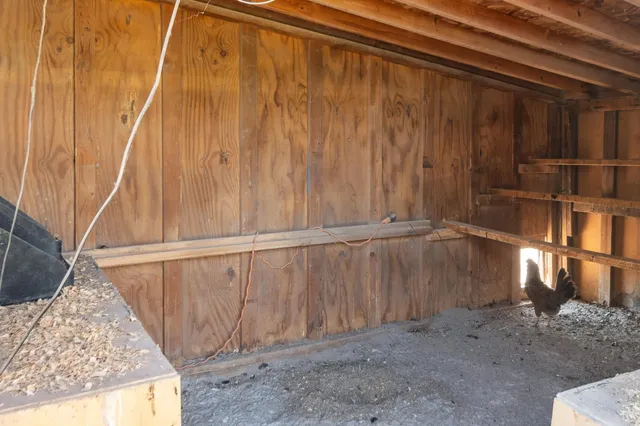 a view of a garden with a building in the background