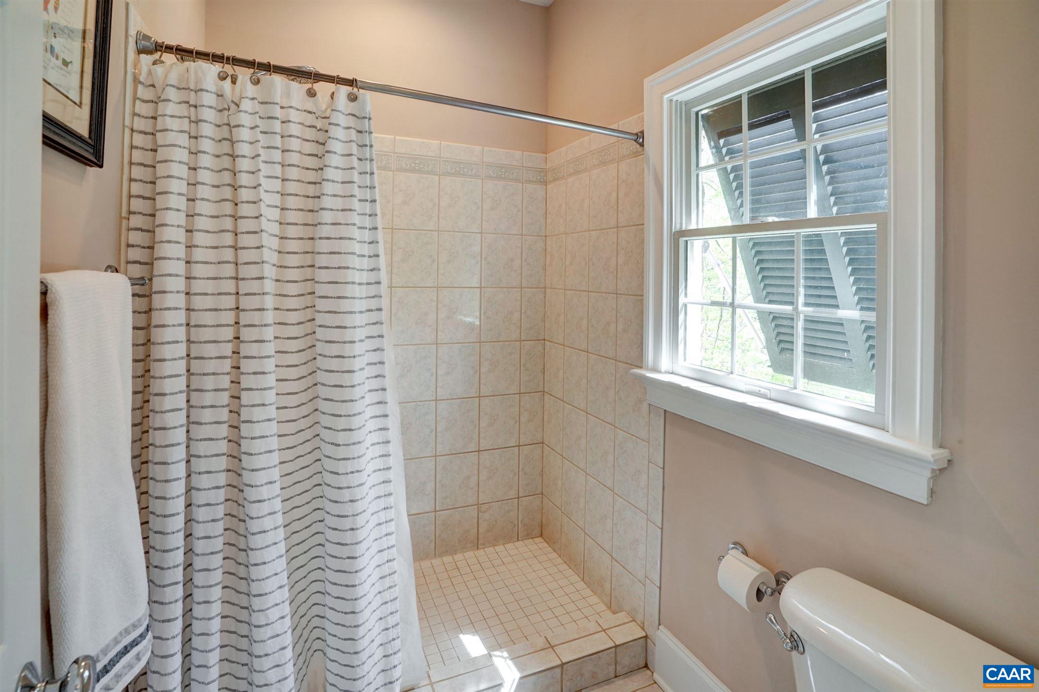 3315 Darby Road Keswick, VA 22947 - Photo 32 of 67 a bathroom with a shower