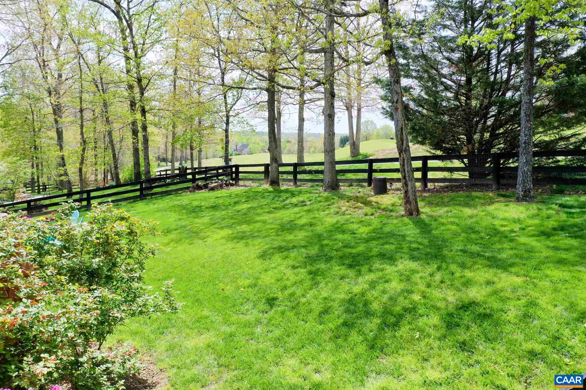 3315 Darby Road Keswick, VA 22947 - Photo 54 of 67 a view of backyard with trees