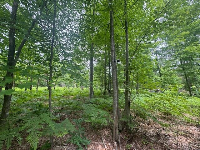 10384 West Rosted Road Lake City, MI 49651 - Photo 5 of 10