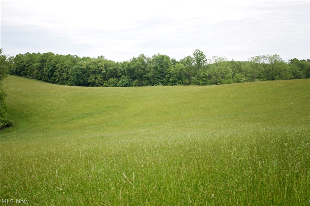 Sandy Ridge Road Southeast Tippecanoe, OH 44699 - Photo 21 of 27 Gallery Image 21