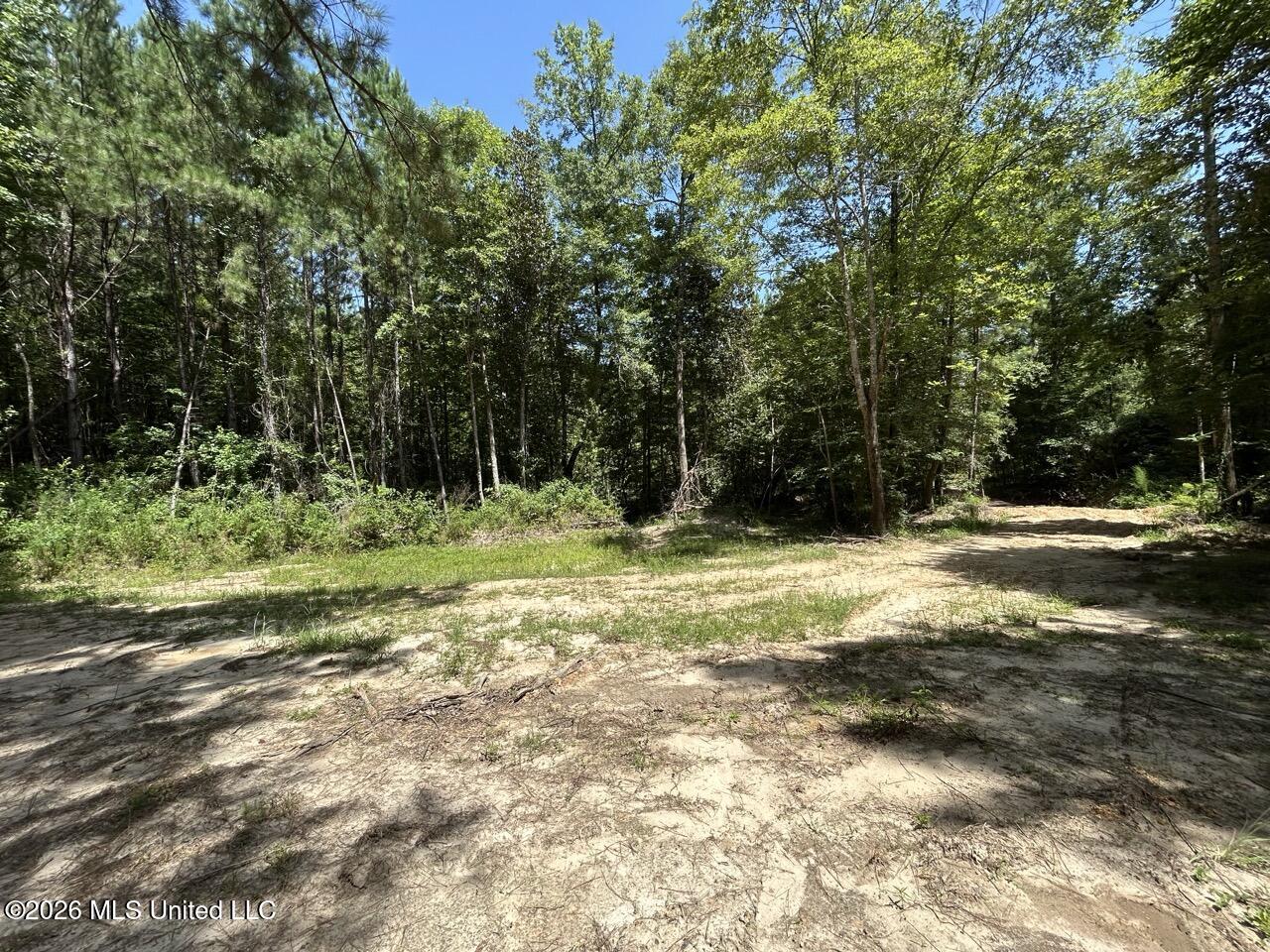 399 Northeast Dummyline Road Brookhaven, MS 39601 - Photo 23 of 33 IMG_5204 Large