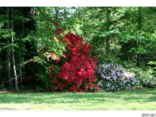 965 Hart Road Woodleaf, NC 27054 - Photo 14 of 16