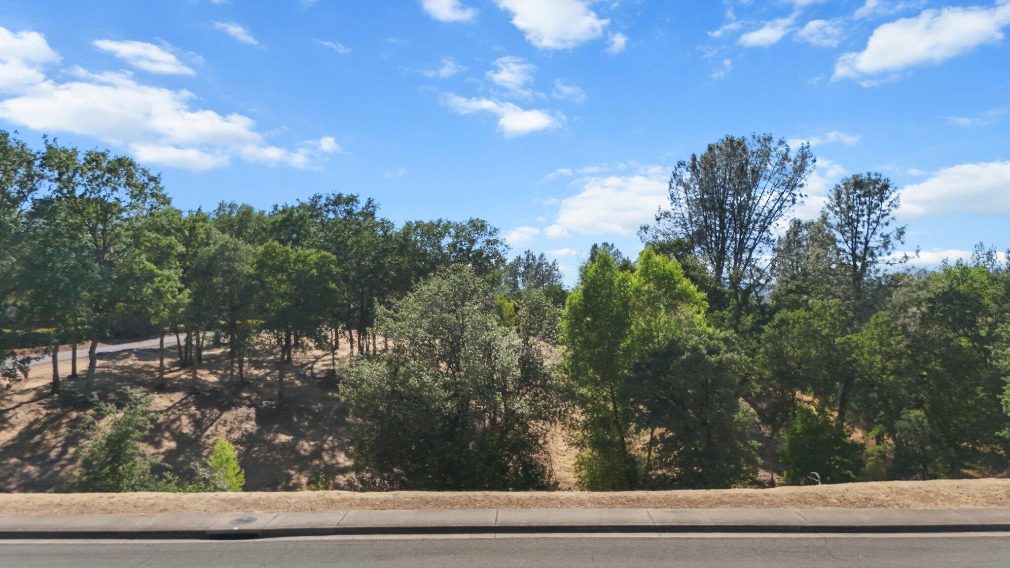 11632 Ridgewood Road Redding, CA 96003 - Photo 11 of 15 a view of a yard from a window