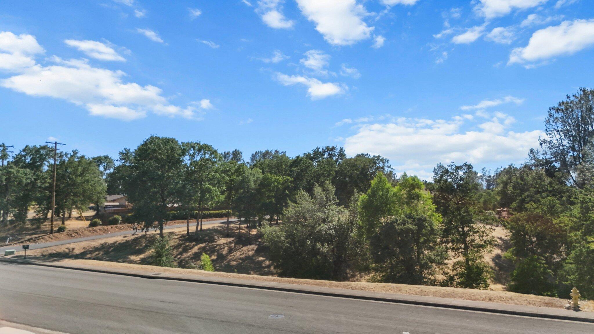 11632 Ridgewood Road Redding, CA 96003 - Photo 12 of 15 a view of a yard from a window