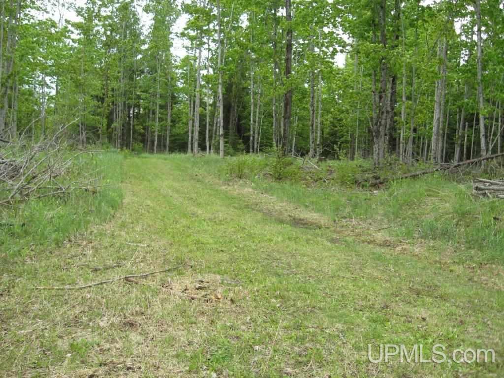 Tbd Co Rd H26 Rock, MI 49880 - Photo 8 of 17