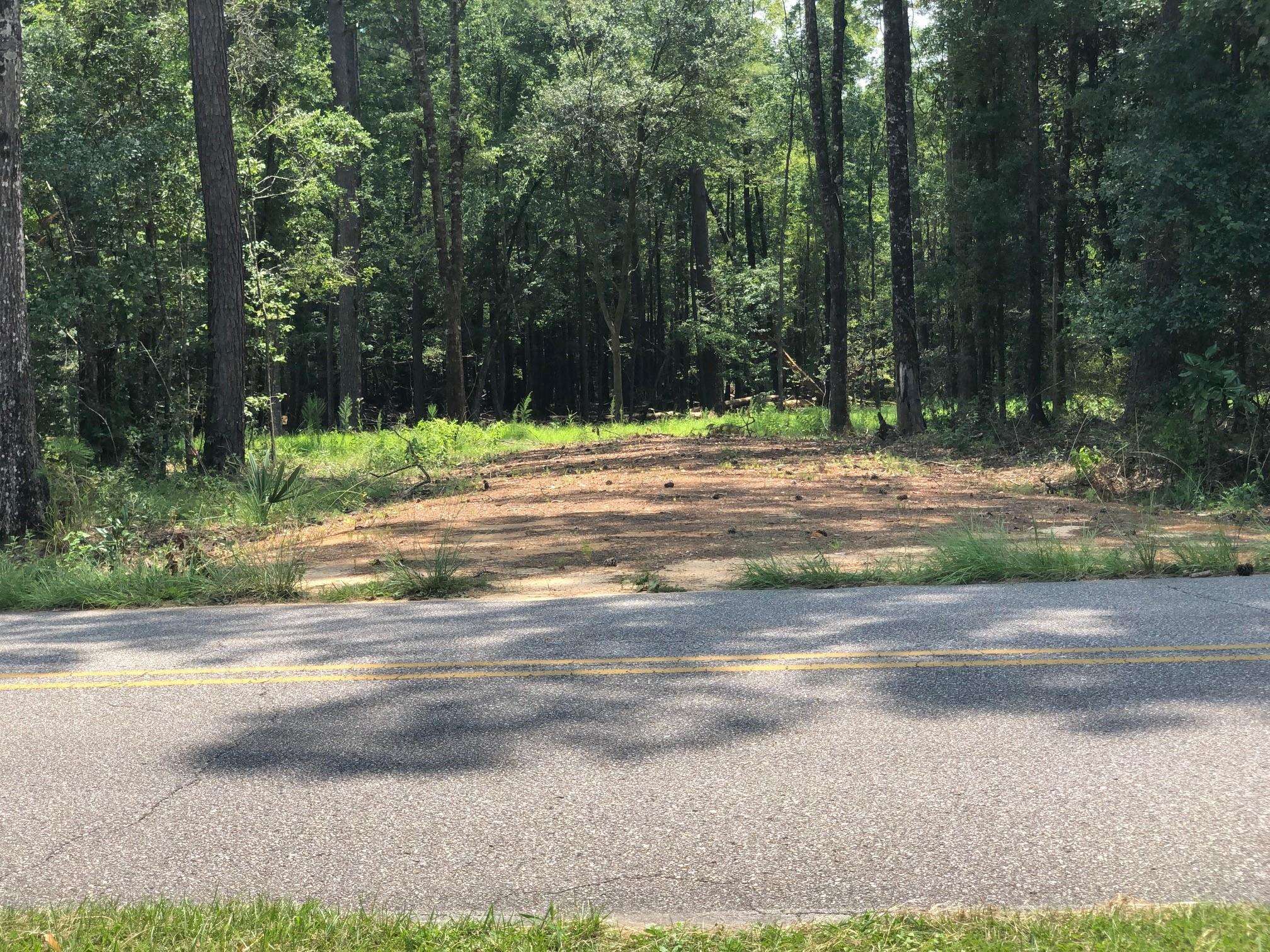 10280 Old Stage Road Stockton, AL 36579 - Photo 1 of 9