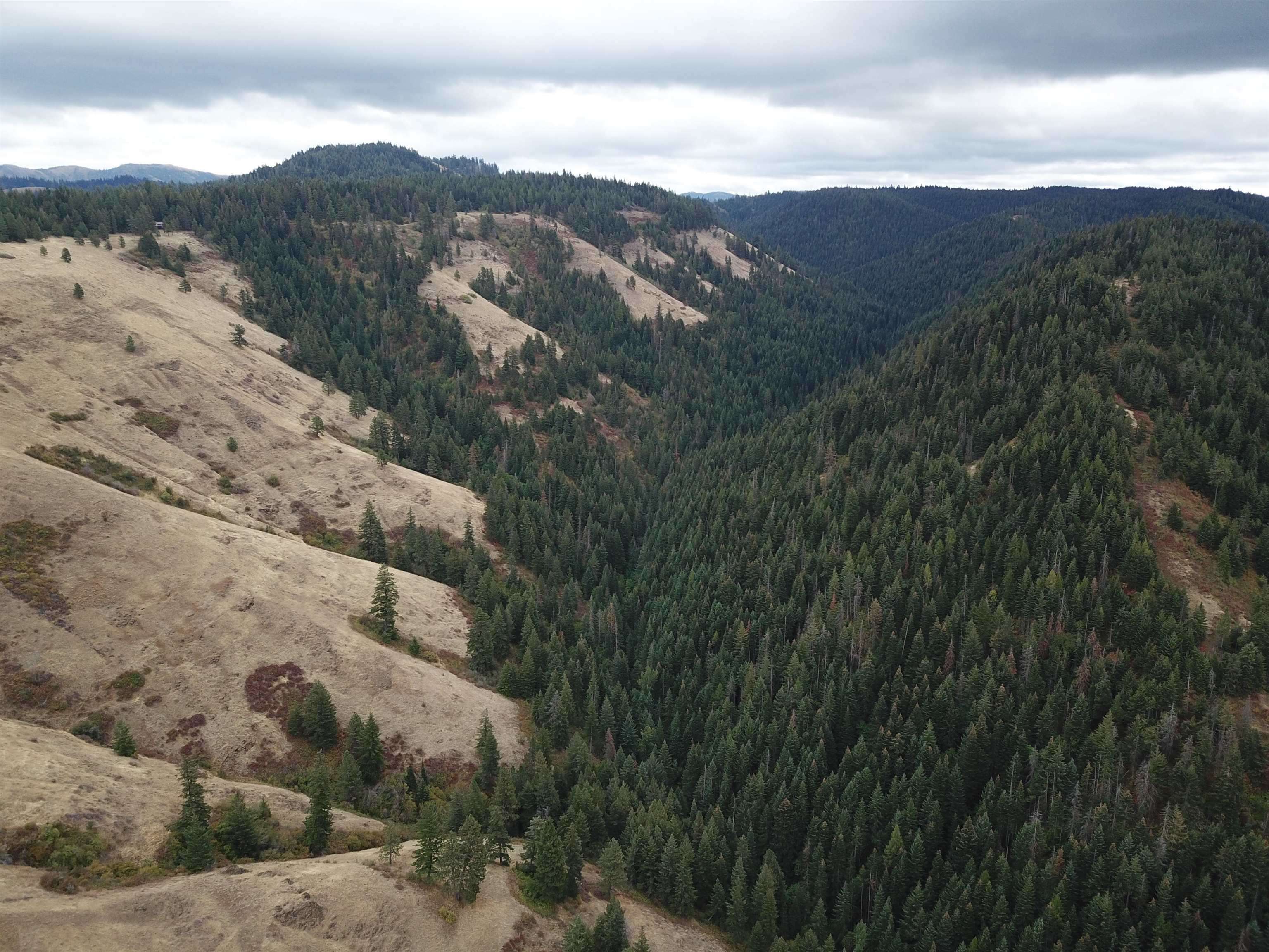 30 Acres On Biscuit Ridge Waitsburg, WA 99361 - Photo 23 of 31