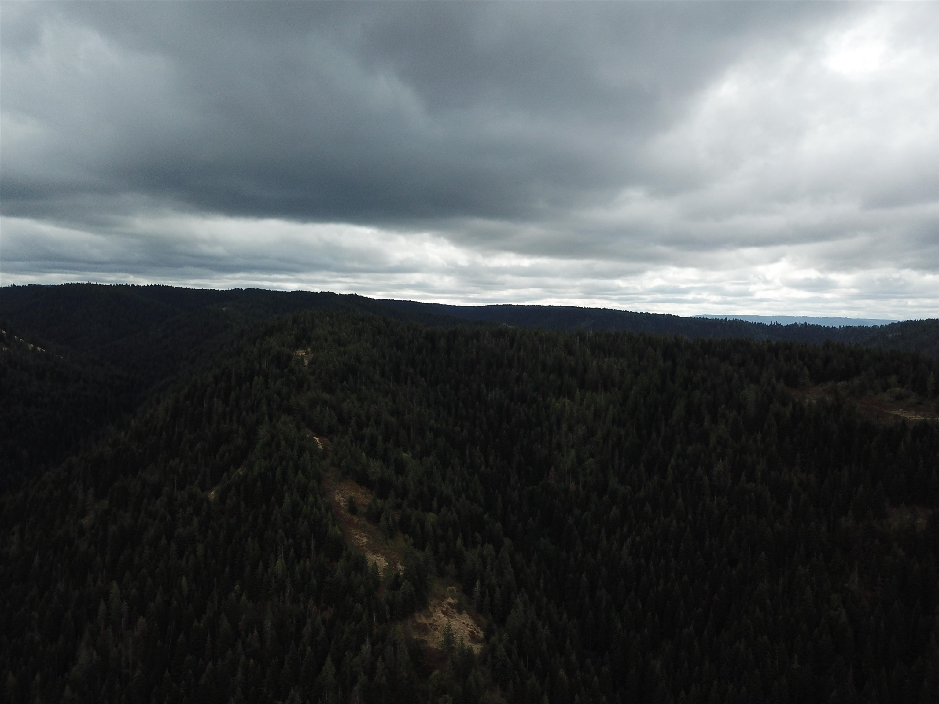 30 Acres On Biscuit Ridge Waitsburg, WA 99361 - Photo 27 of 31