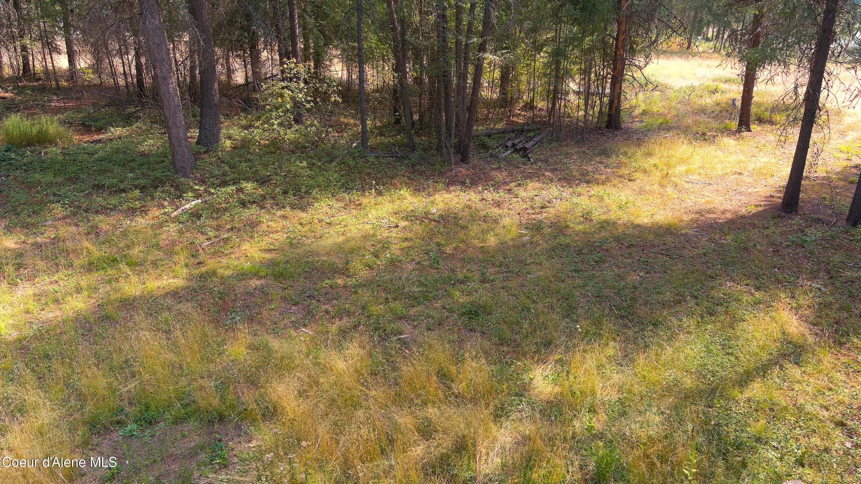 127 Lions Road Priest River, ID 83856 - Photo 4 of 13 127 Lions PR (9 of 43)