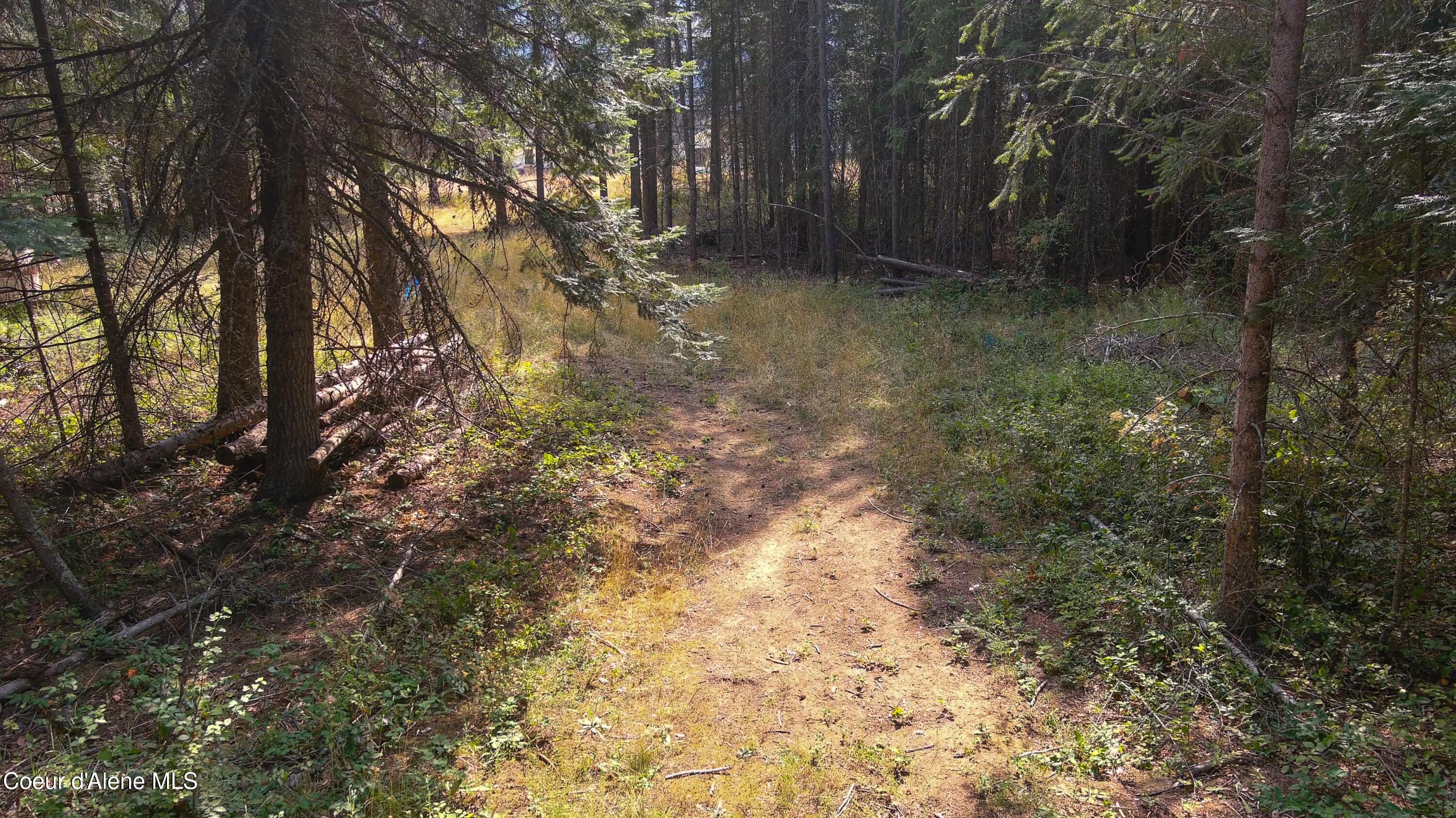 127 Lions Road Priest River, ID 83856 - Photo 5 of 13 127 Lions PR (10 of 43)