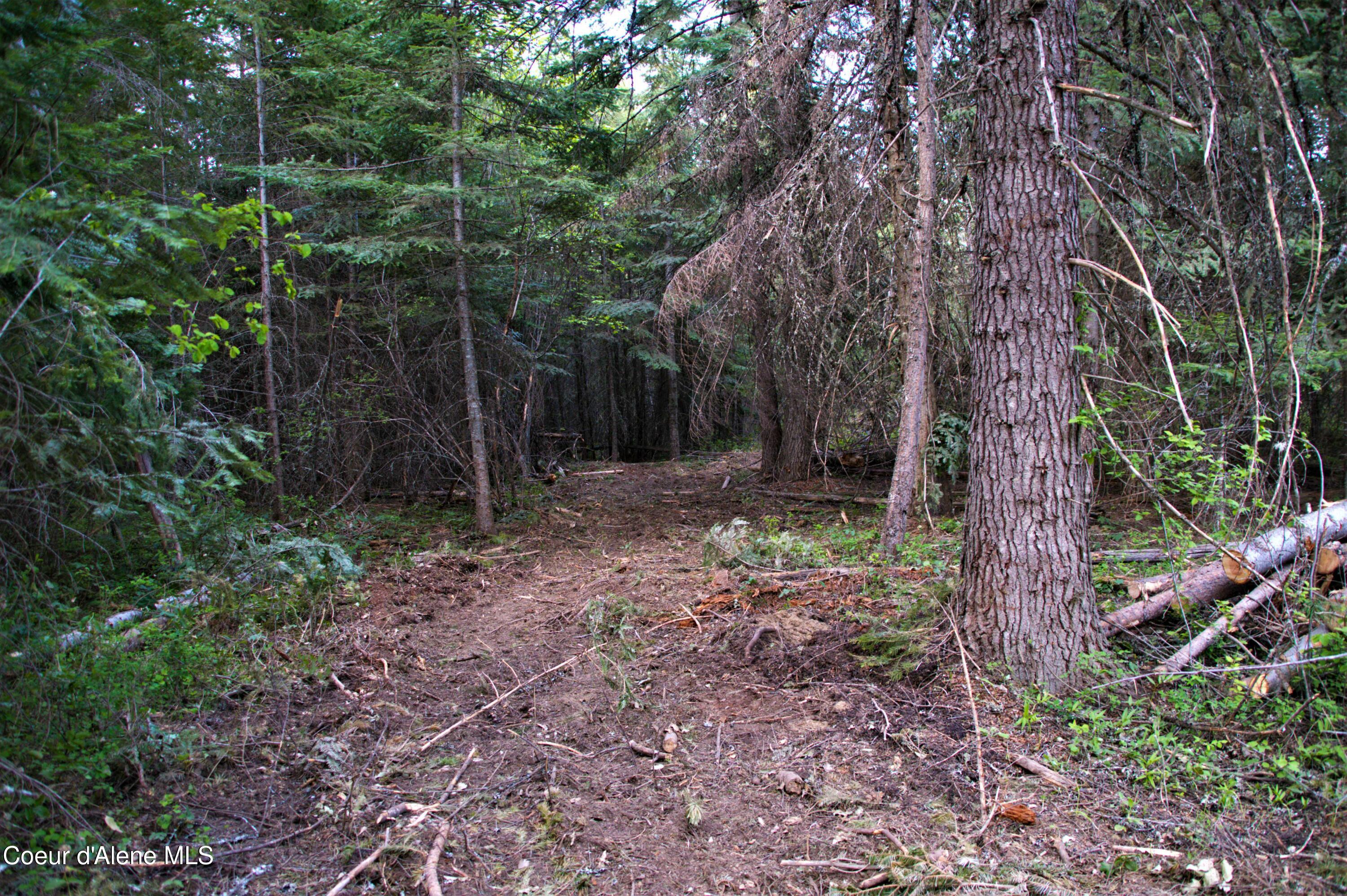 127 Lions Road Priest River, ID 83856 - Photo 6 of 13 127 Lions PR (12 of 43)