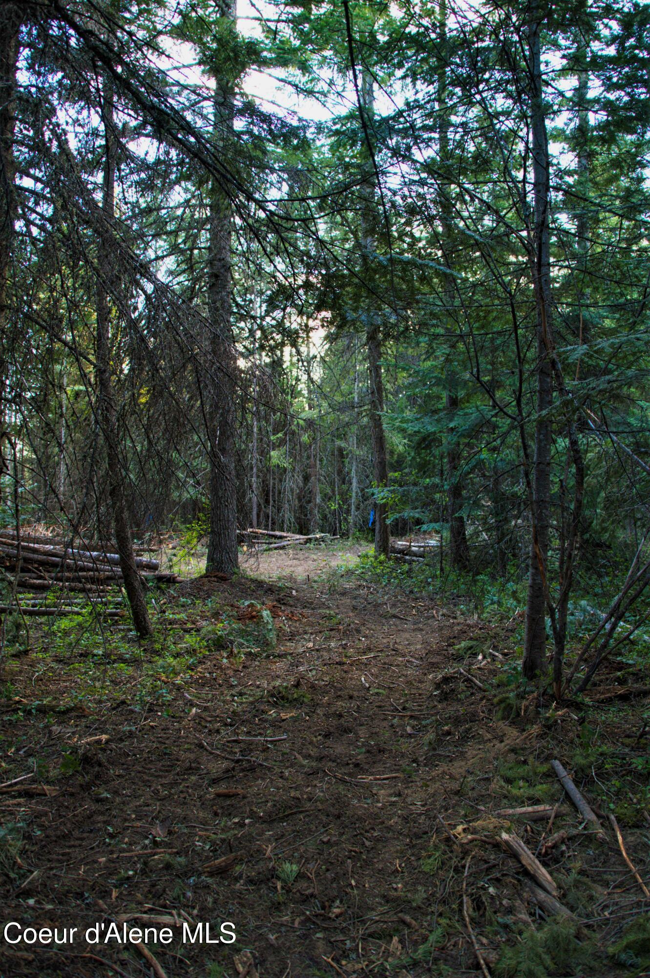 127 Lions Road Priest River, ID 83856 - Photo 8 of 13 127 Lions PR (14 of 43)