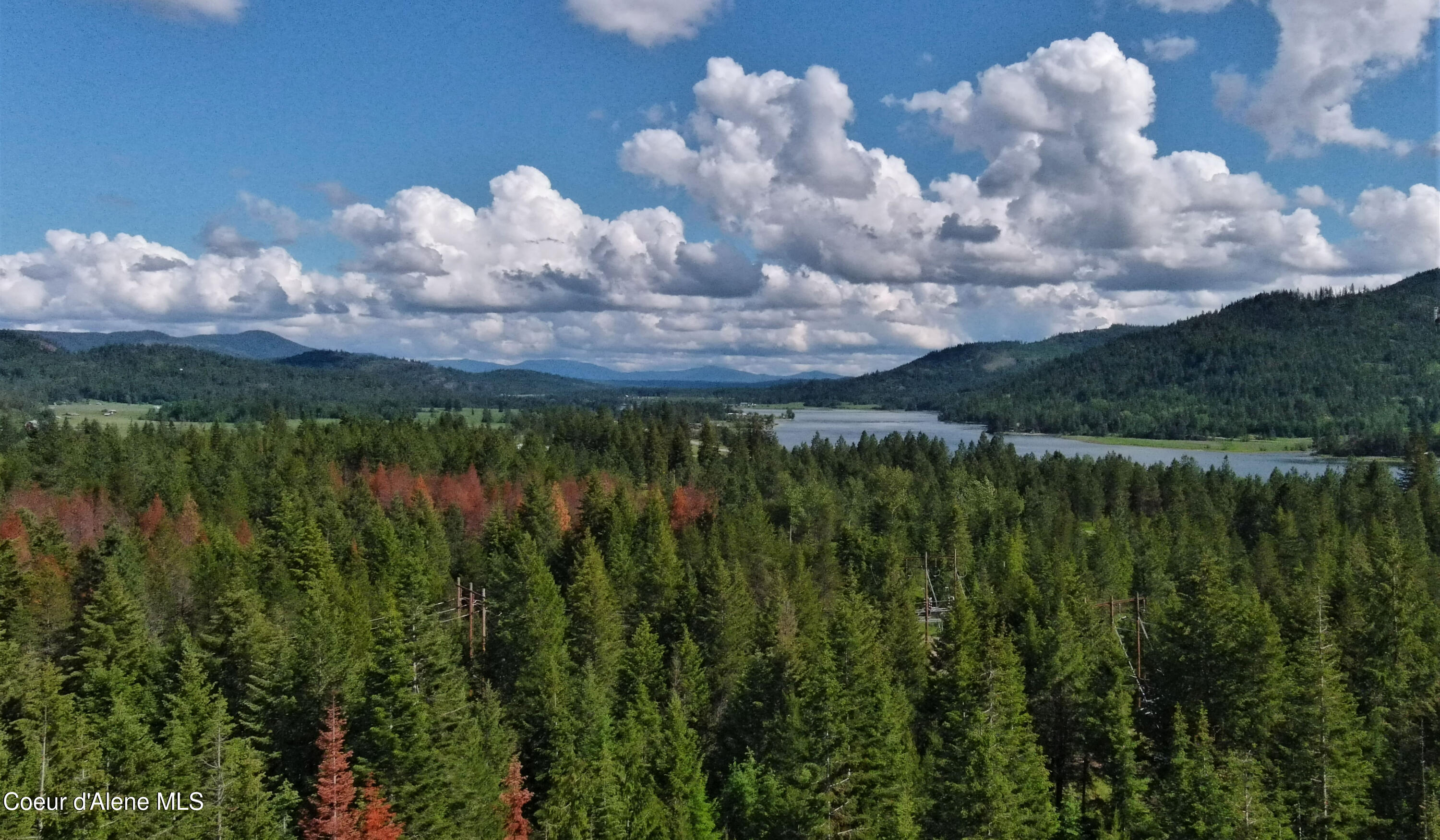 127 Lions Road Priest River, ID 83856 - Photo 9 of 13 127 Lions PR (18 of 43)