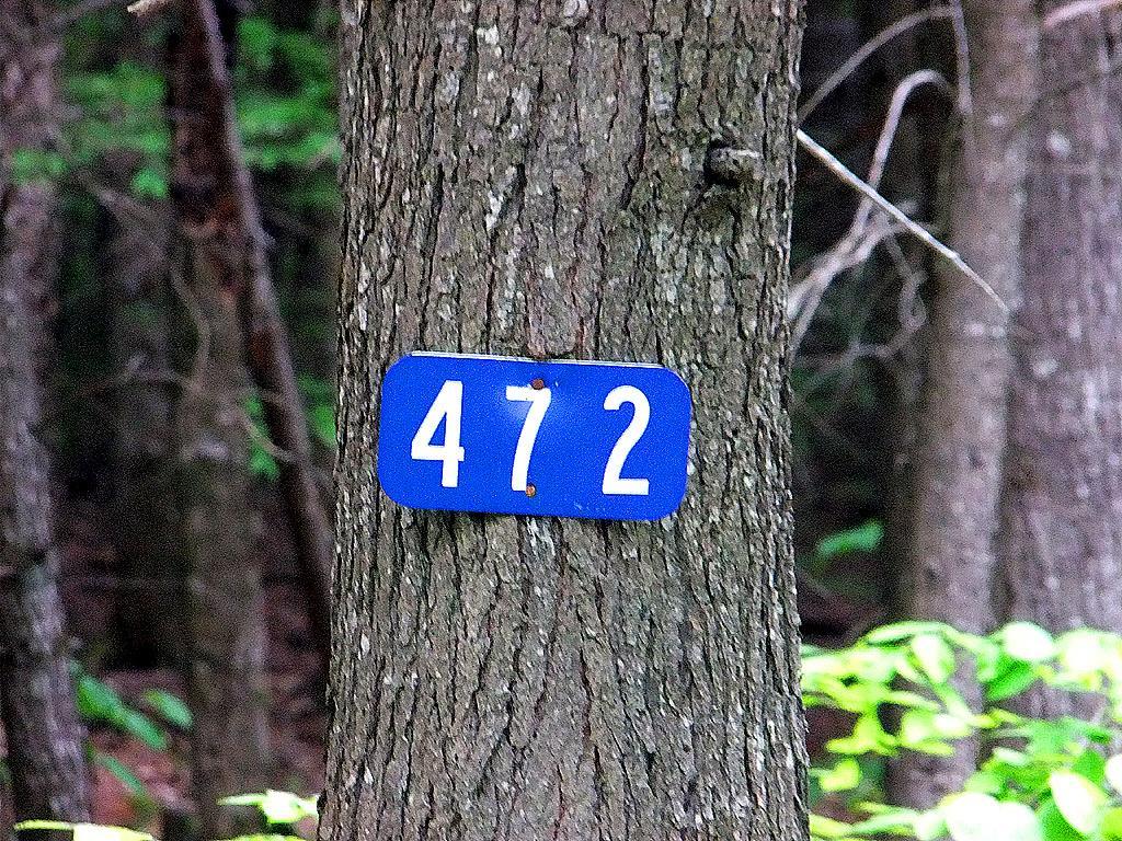 Lot 1 South Shore Road Houlton, ME 04730 - Photo 5 of 35 Photo
