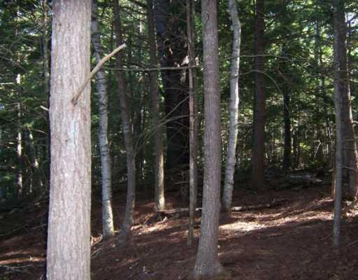Lot 30 Little Brook Road Ellsworth, ME 04605 - Photo 3 of 7 Land.