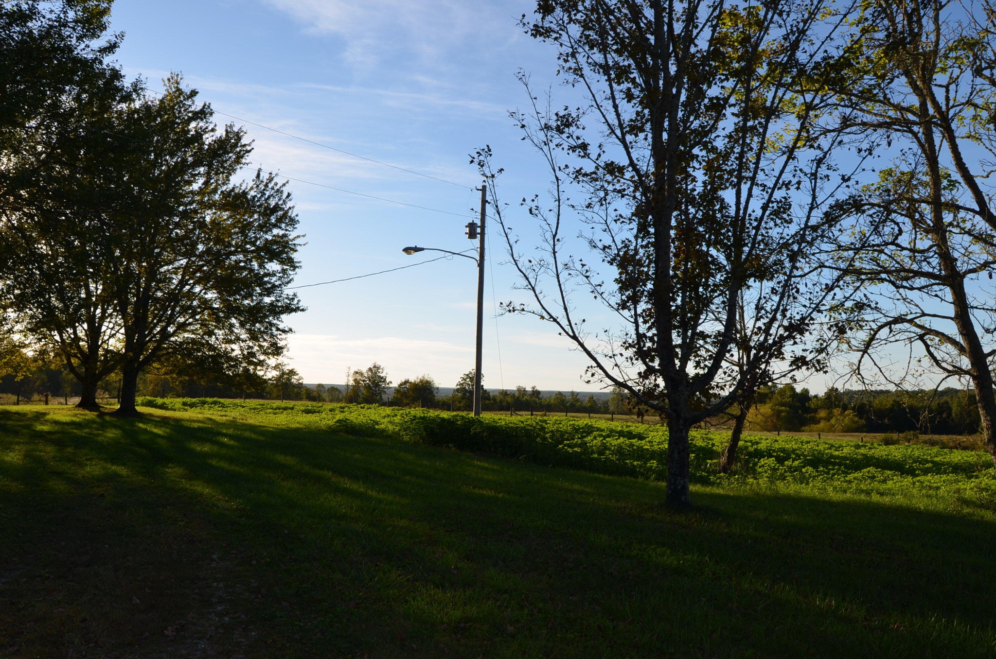190 Meister Hills Road Deer Lodge, TN 37726 - Photo 27 of 40 a view of a park