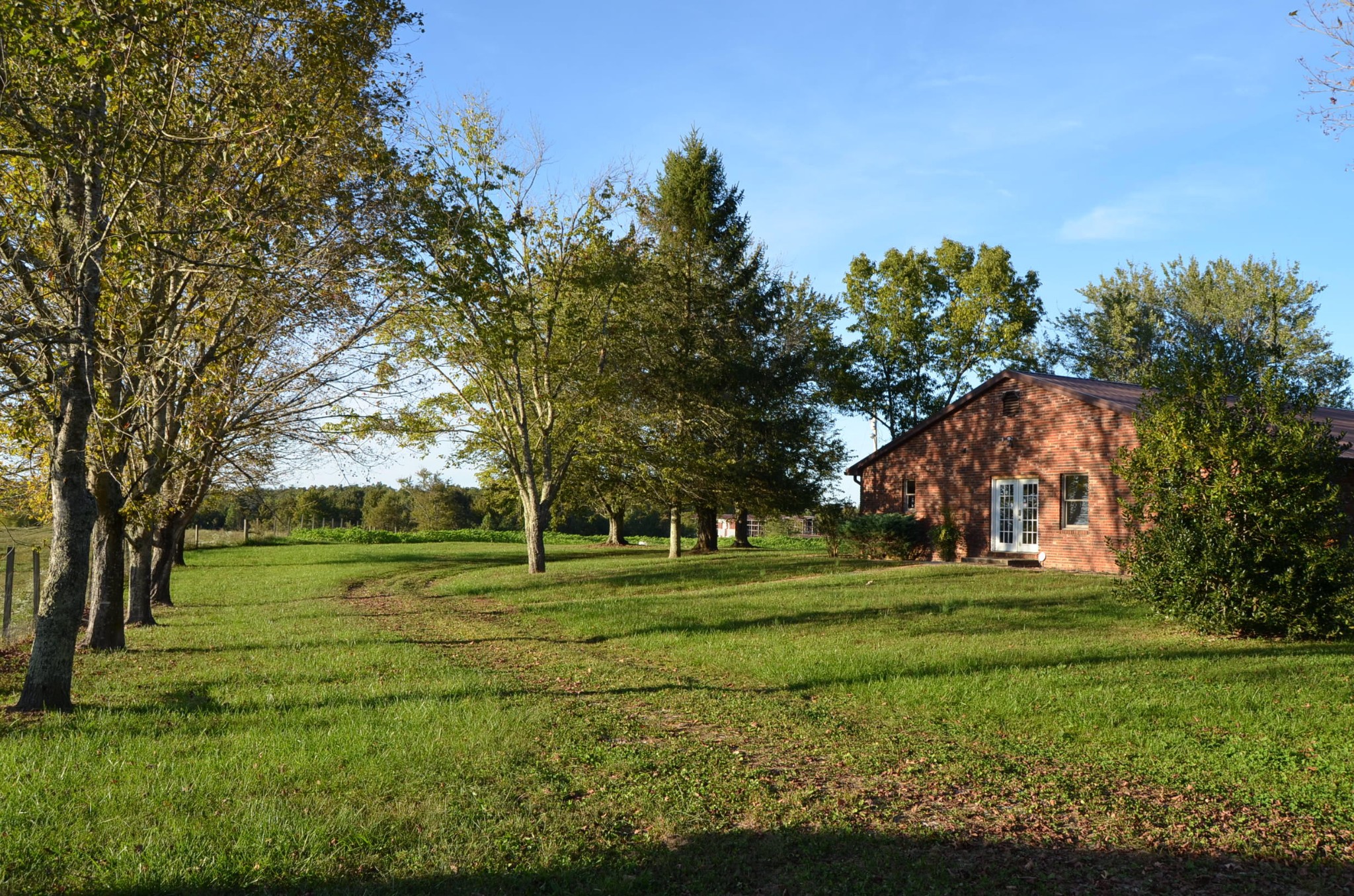 190 Meister Hills Road Deer Lodge, TN 37726 - Photo 38 of 40 a big yard with large trees