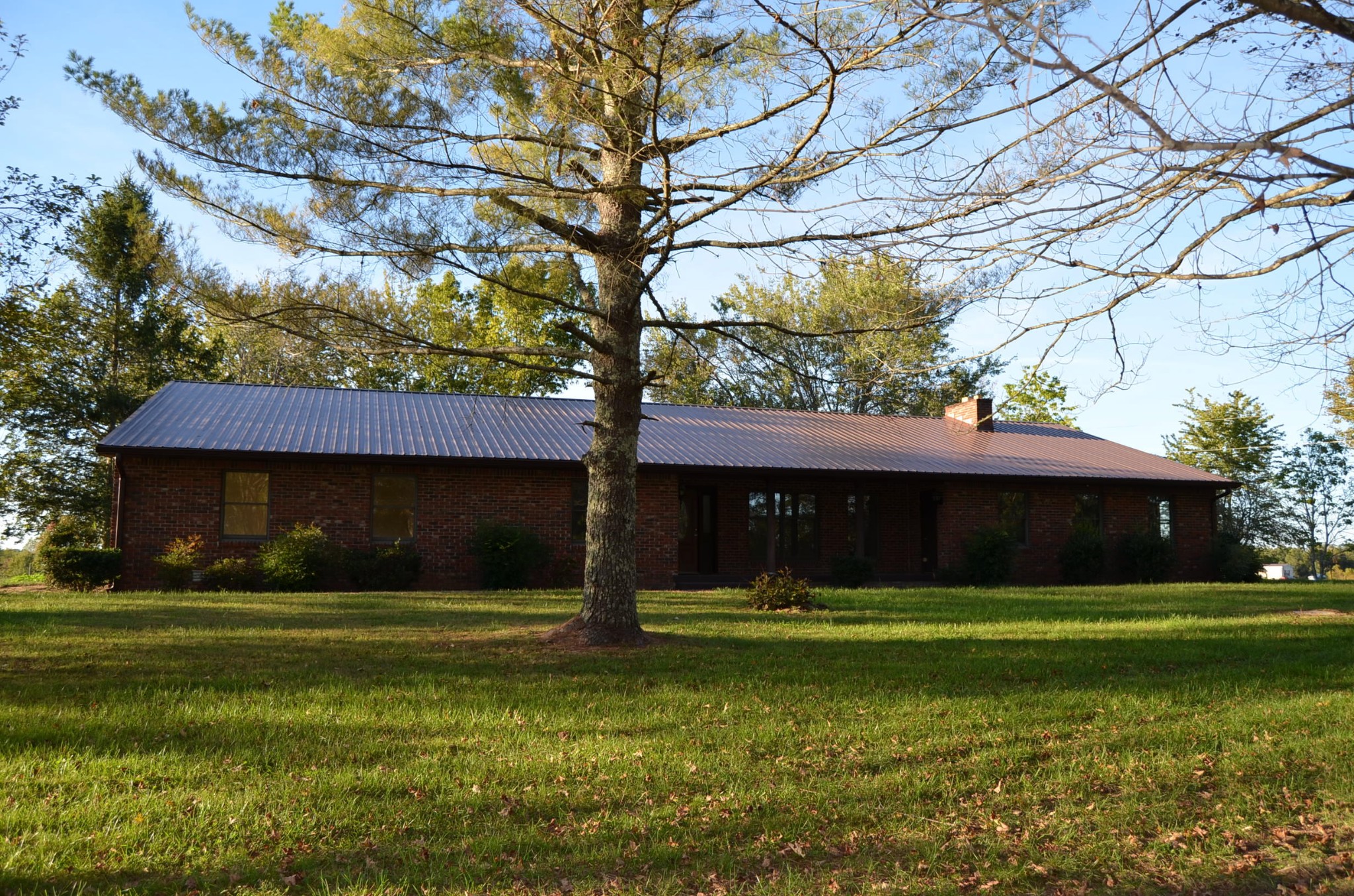 190 Meister Hills Road Deer Lodge, TN 37726 - Photo 40 of 40 a view of a tree in front of a house
