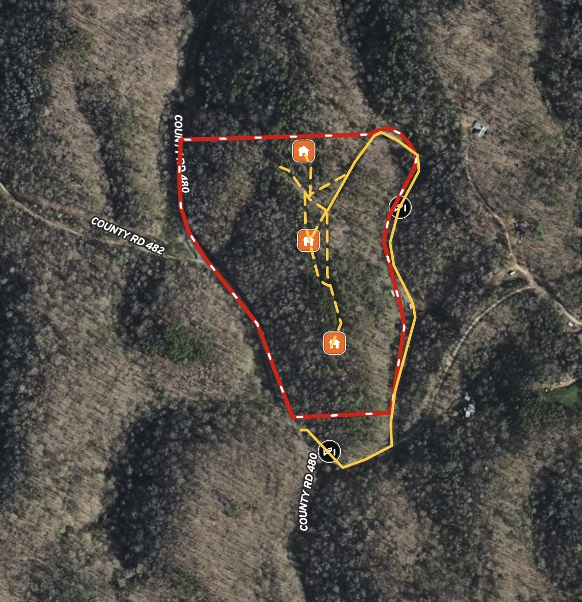 1133 Macedonia Martin Gap Road Englewood, TN 37329 - Photo 2 of 48 a view of a wooden floor and a tree