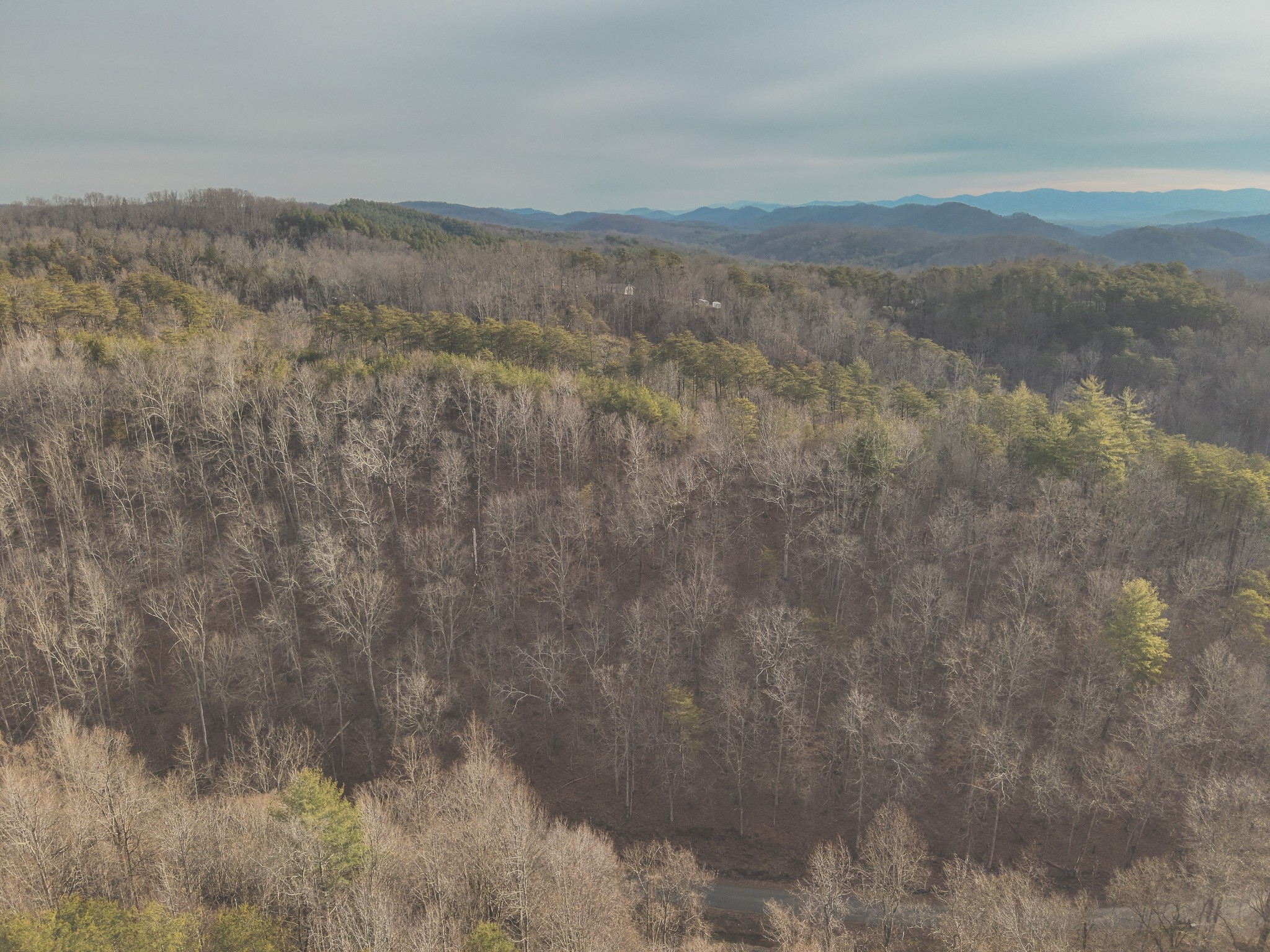 1133 Macedonia Martin Gap Road Englewood, TN 37329 - Photo 32 of 48 a view of mountain view with trees