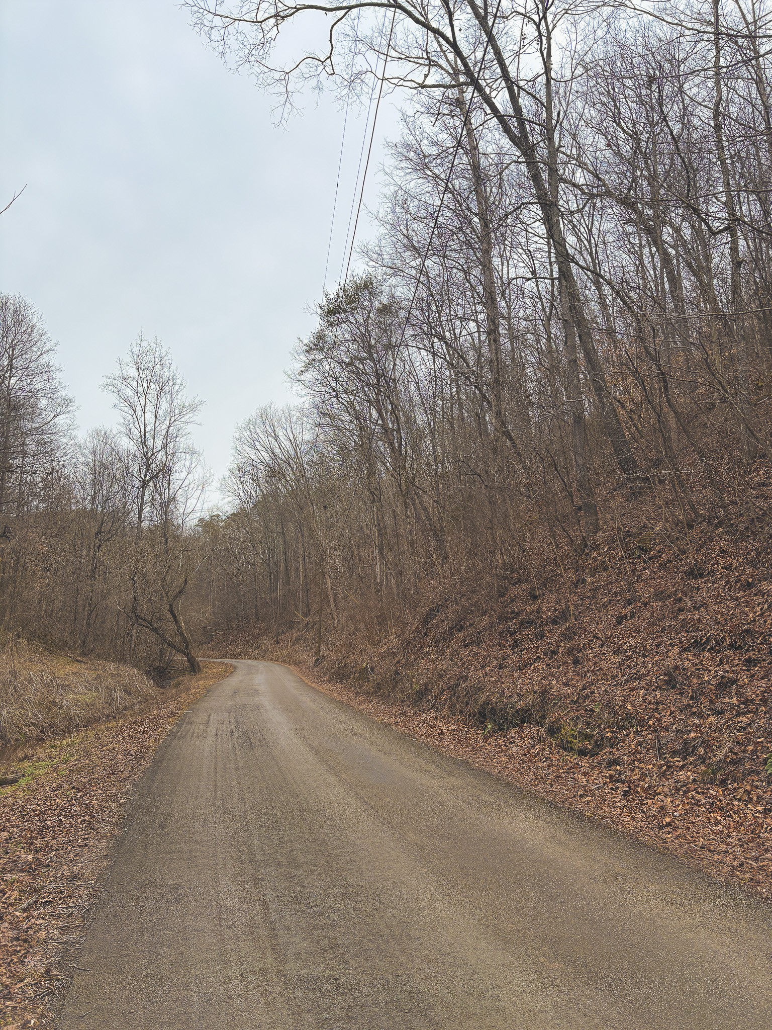 1133 Macedonia Martin Gap Road Englewood, TN 37329 - Photo 36 of 48 a view of a road with trees in the background