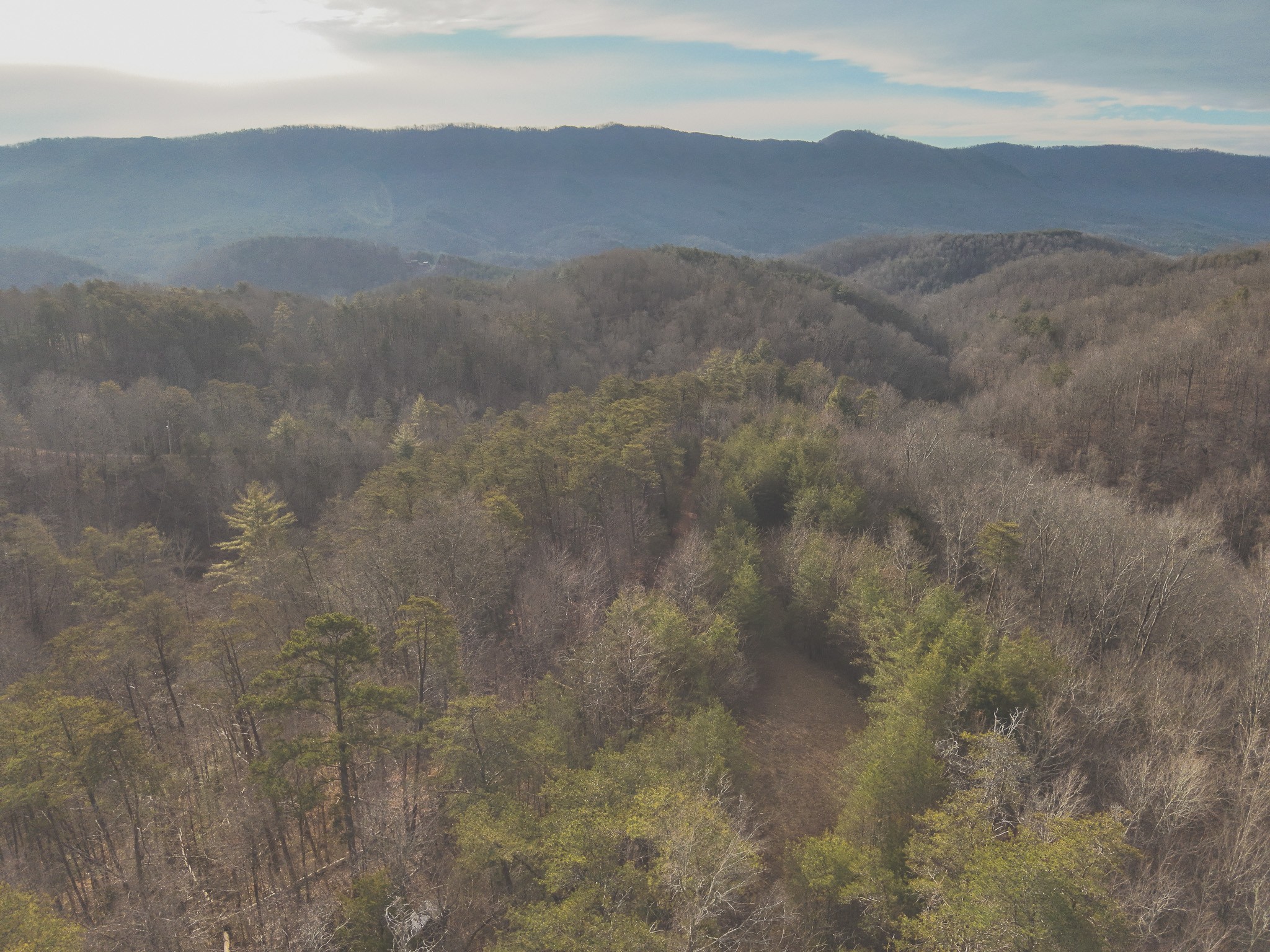 1133 Macedonia Martin Gap Road Englewood, TN 37329 - Photo 42 of 48 a view of mountains and valleys