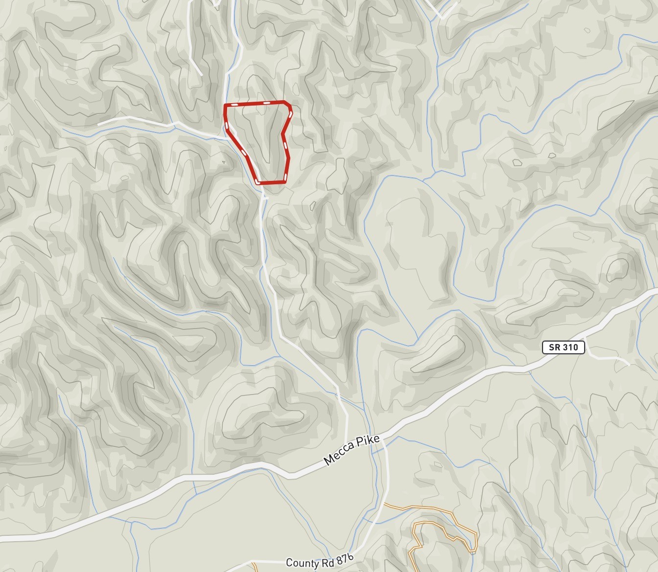 1133 Macedonia Martin Gap Road Englewood, TN 37329 - Photo 45 of 48