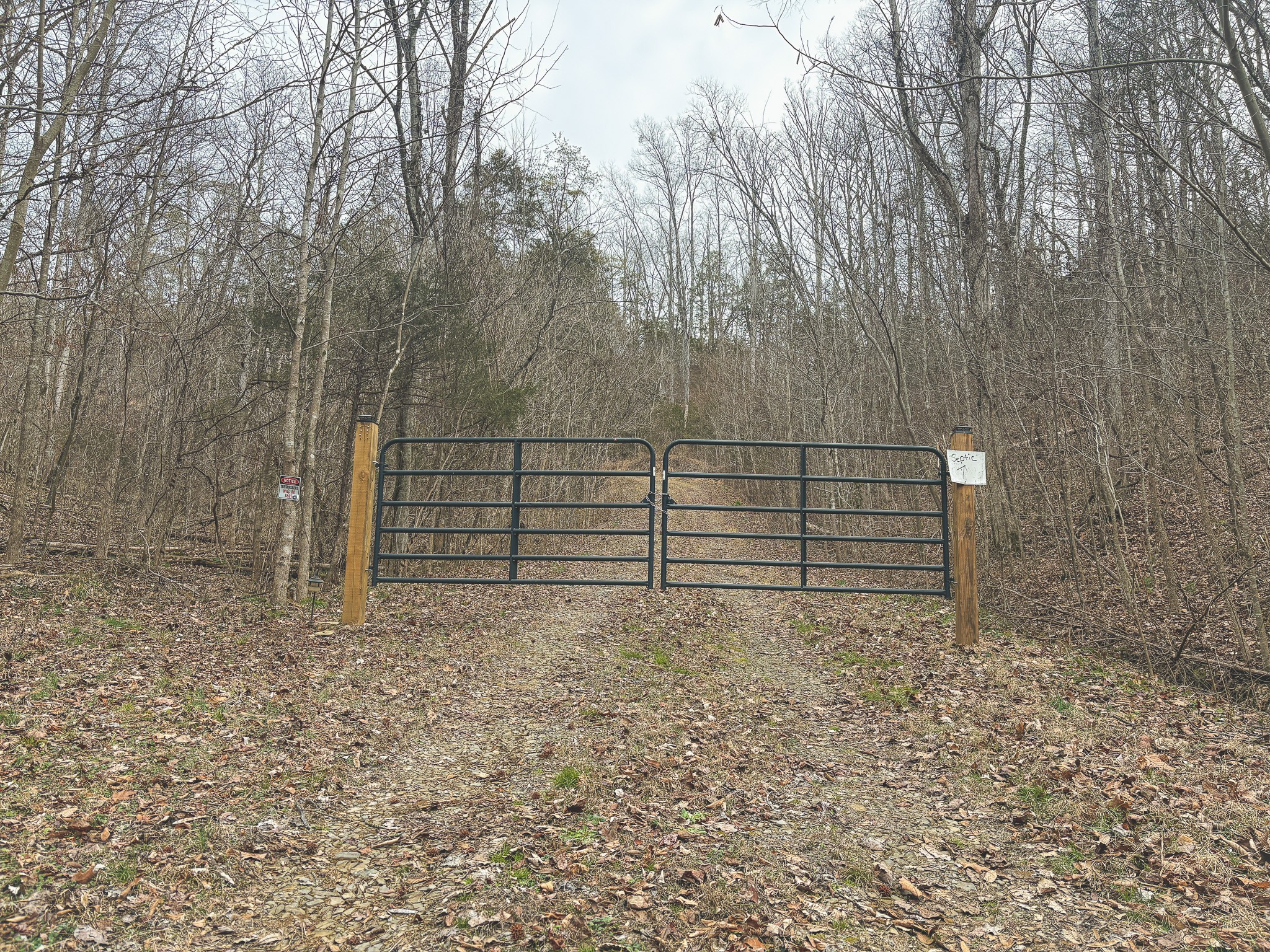 1133 Macedonia Martin Gap Road Englewood, TN 37329 - Photo 10 of 48 a view of backyard with wooden fence