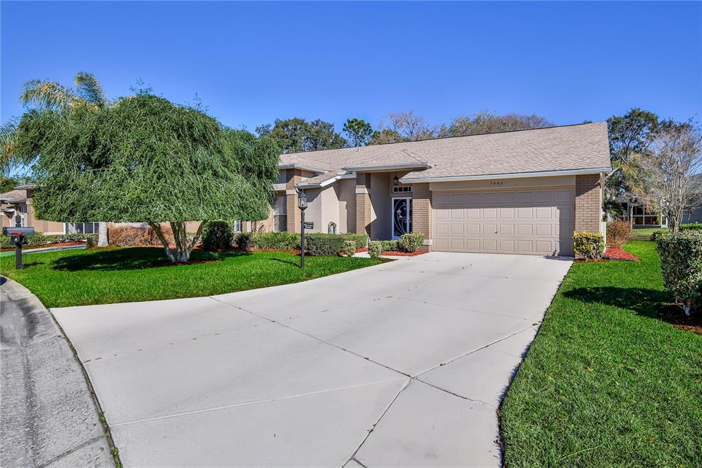 7443 Willowbrook Drive Spring Hill, FL 34606 - Photo 4 of 54 a front view of a house with a yard and potted plants