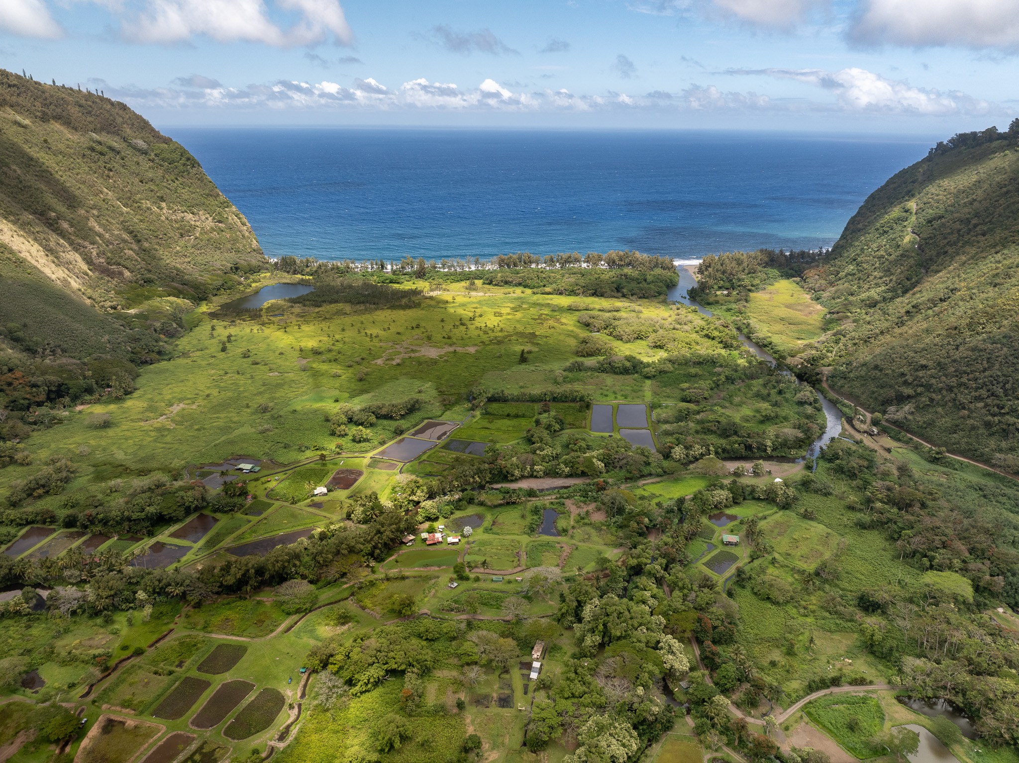 20 Waipio Valley Road Honokaa, HI 96727 - Photo 14 of 16