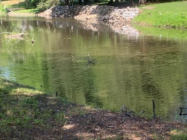 5440 Raymond Road Black River, MI 48721 - Photo 53 of 53 Gallery Image 53