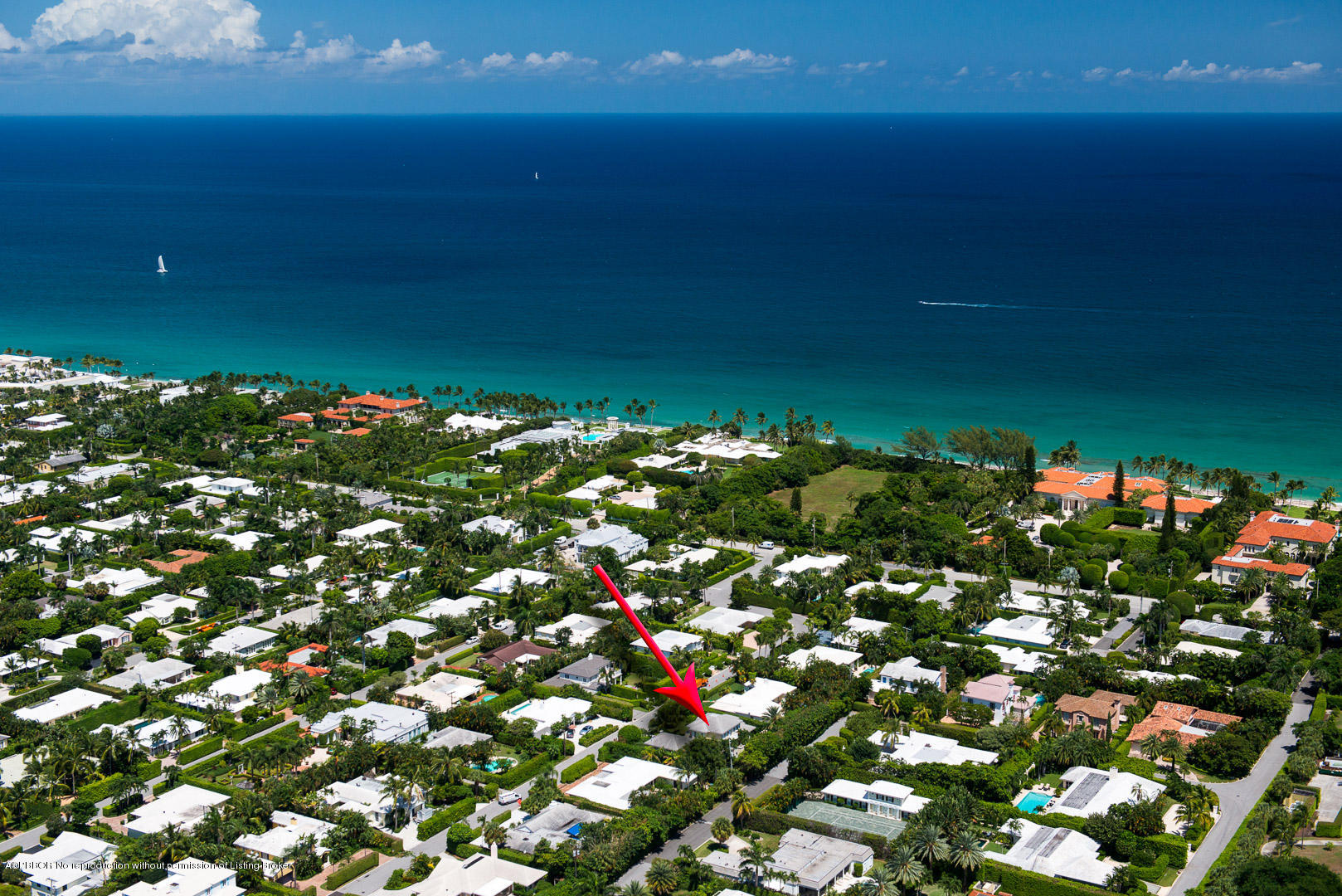 238 Plantation Road Palm Beach, FL 33480 - Photo 3 of 17 a view of a flower