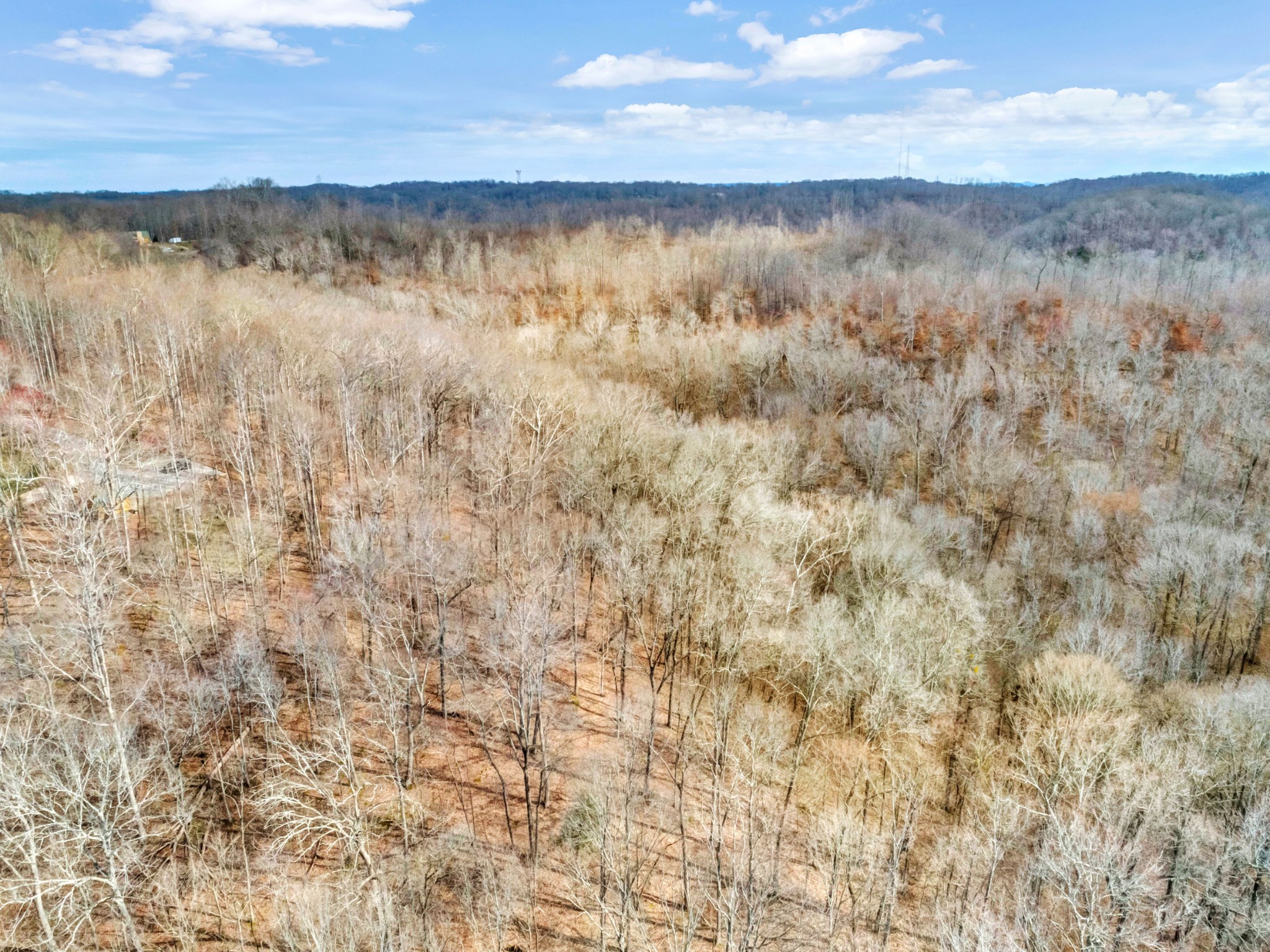 0 Leon Road Nashville, TN 37221 - Photo 4 of 14 Gallery Image 4