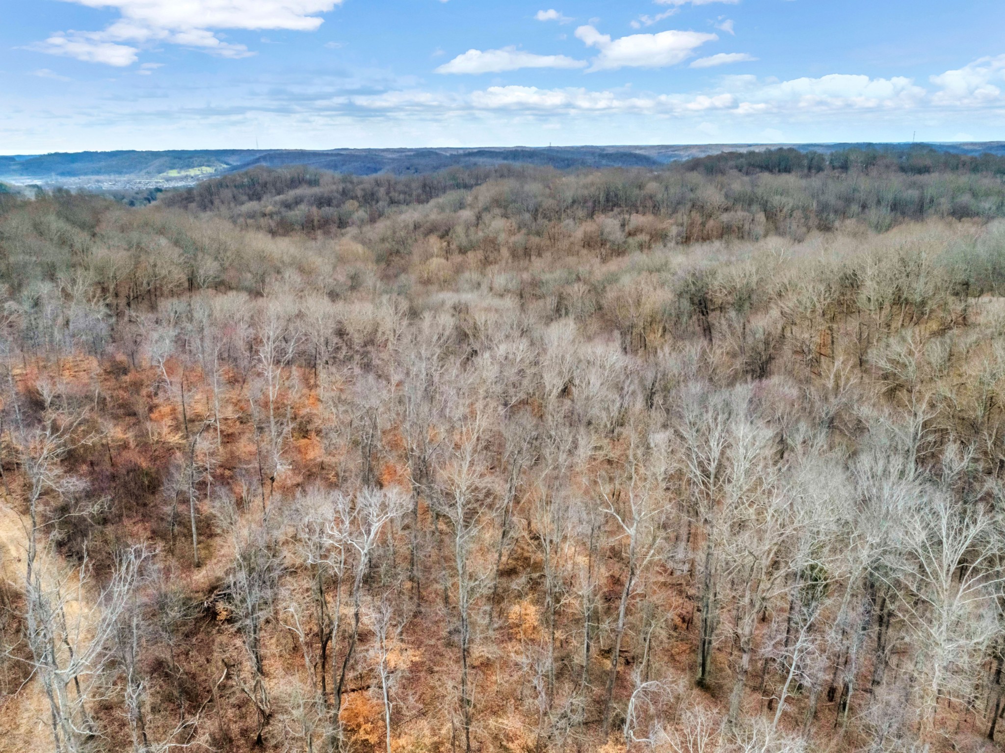 0 Leon Road Nashville, TN 37221 - Photo 6 of 14 Gallery Image 6