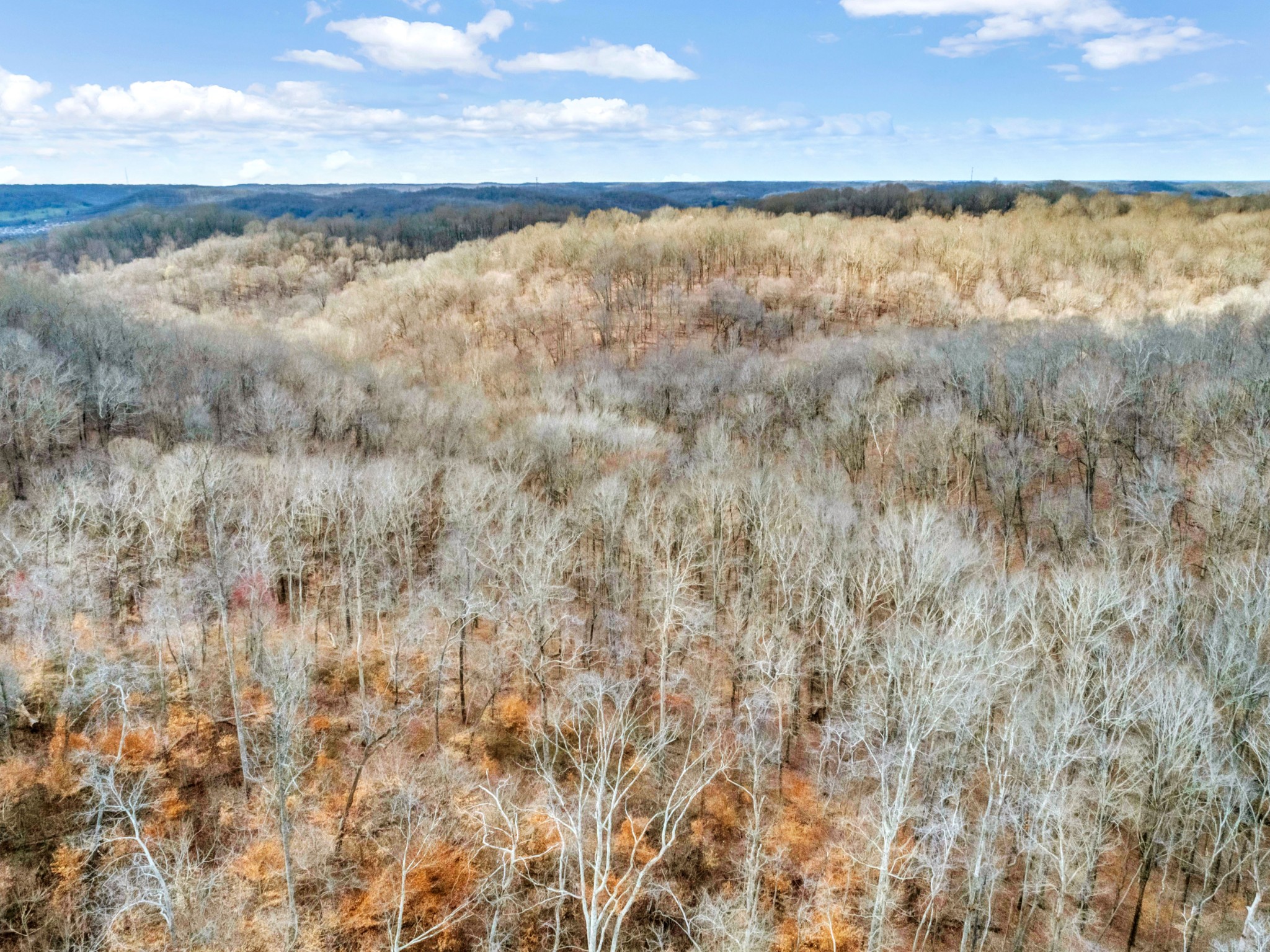0 Leon Road Nashville, TN 37221 - Photo 7 of 14 Gallery Image 7