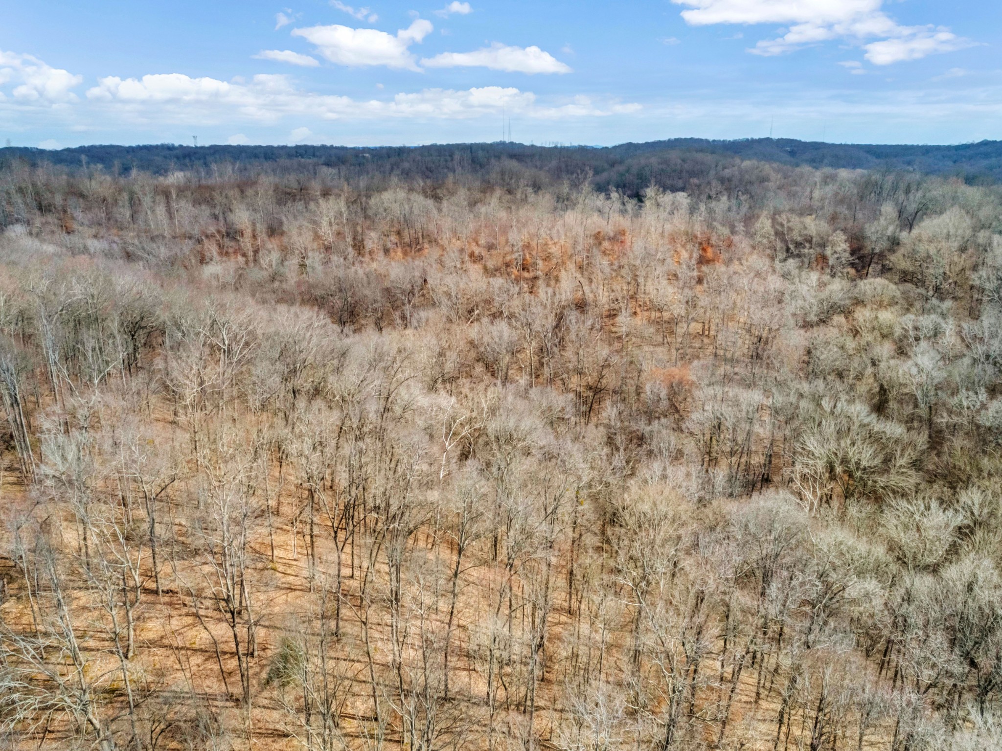 0 Leon Road Nashville, TN 37221 - Photo 8 of 14 Gallery Image 8