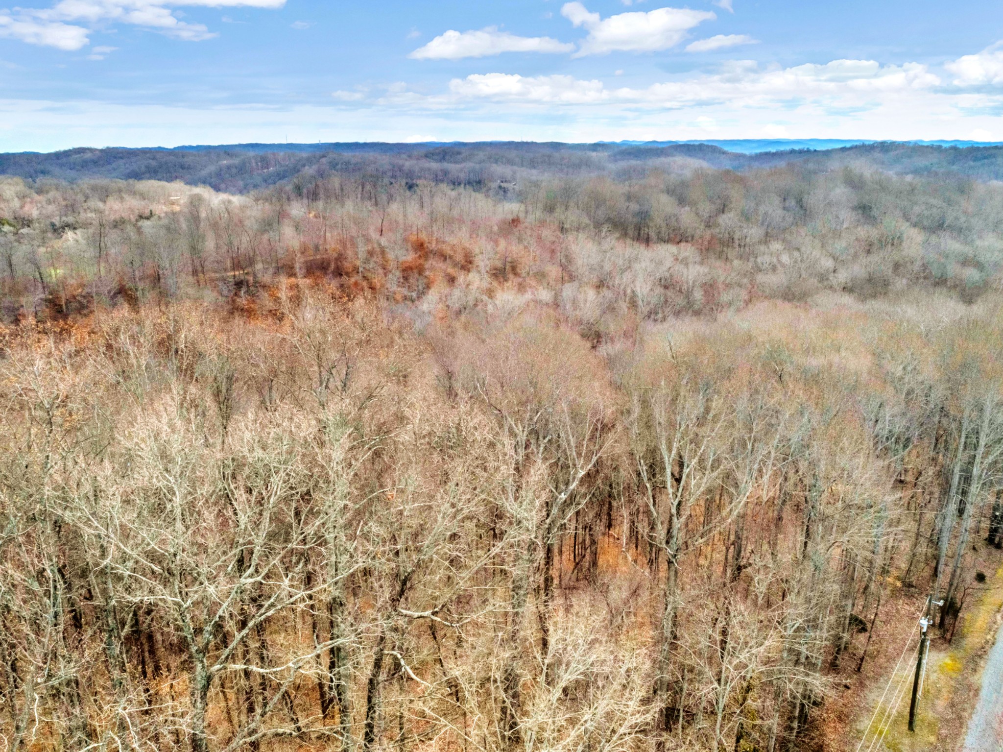 0 Leon Road Nashville, TN 37221 - Photo 9 of 14 Gallery Image 9