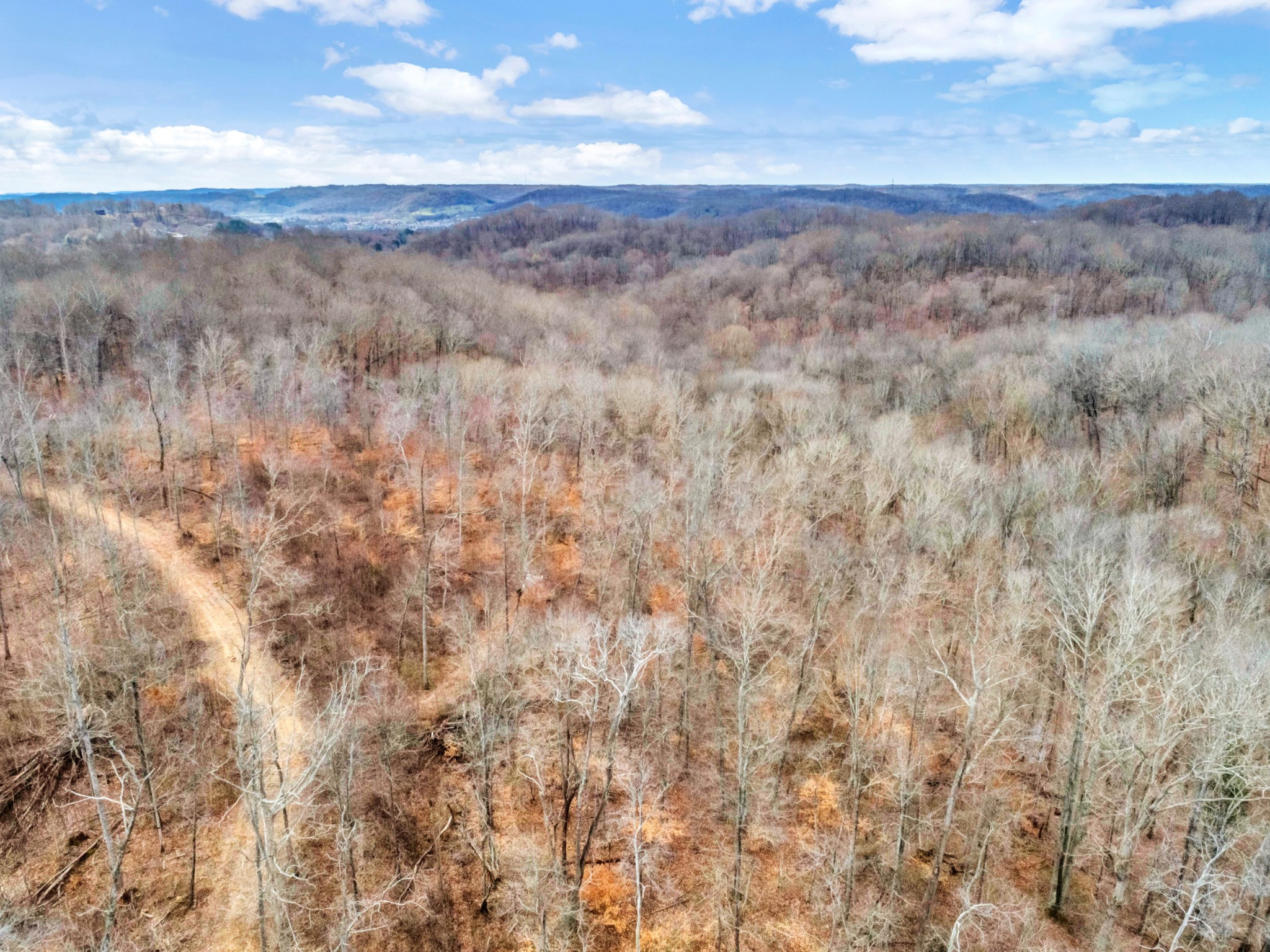 0 Leon Road Nashville, TN 37221 - Photo 10 of 14 Gallery Image 10