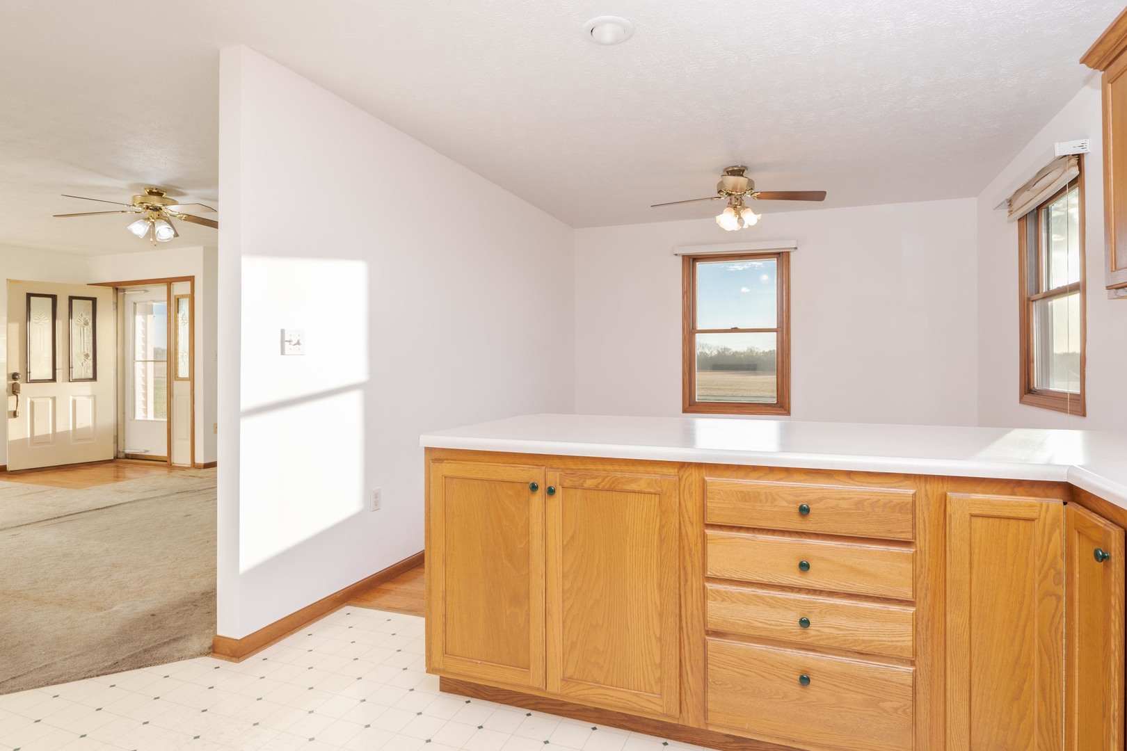 23601 North 1700 E Road Odell, IL 60460 - Photo 34 of 49