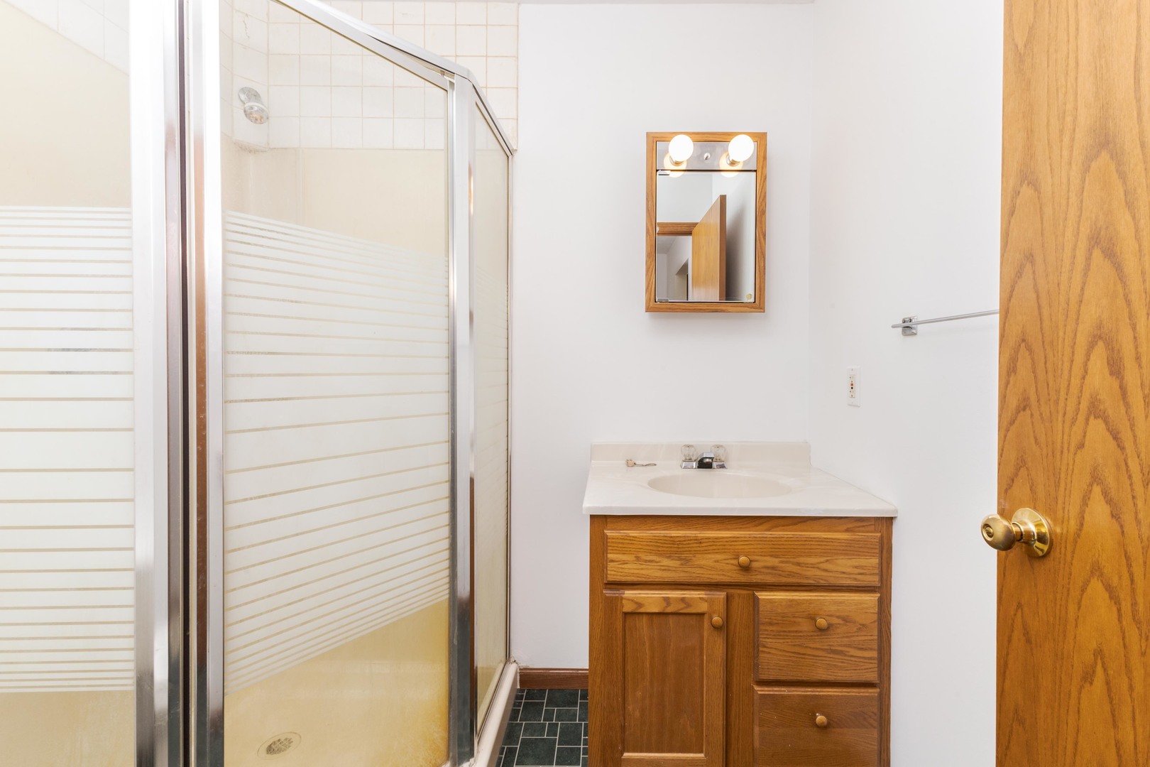 23601 North 1700 E Road Odell, IL 60460 - Photo 49 of 49 a bathroom with a sink a mirror and shower