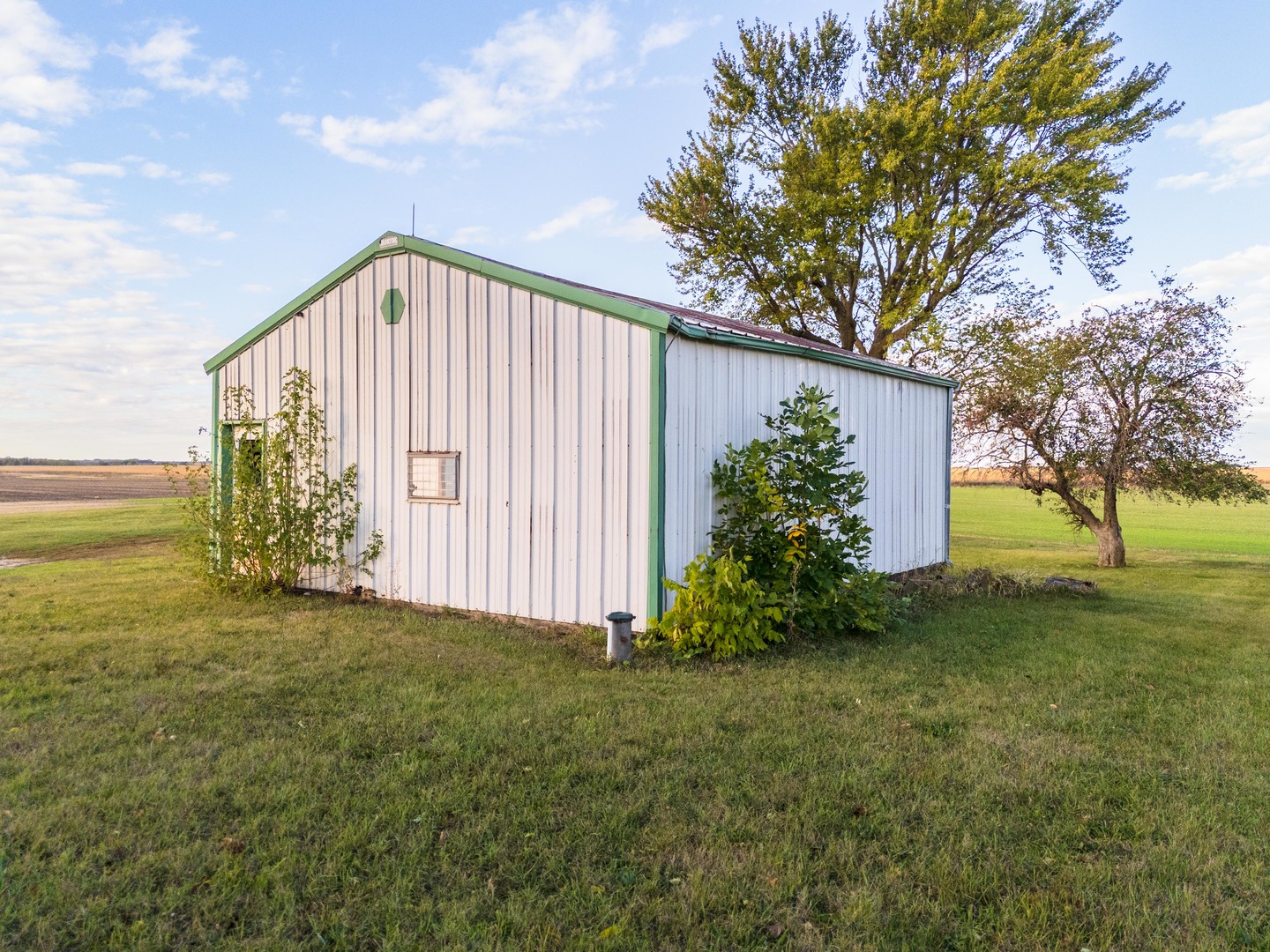 23601 North 1700 E Road Odell, IL 60460 - Photo 10 of 49 a view of a house with backyard and garden