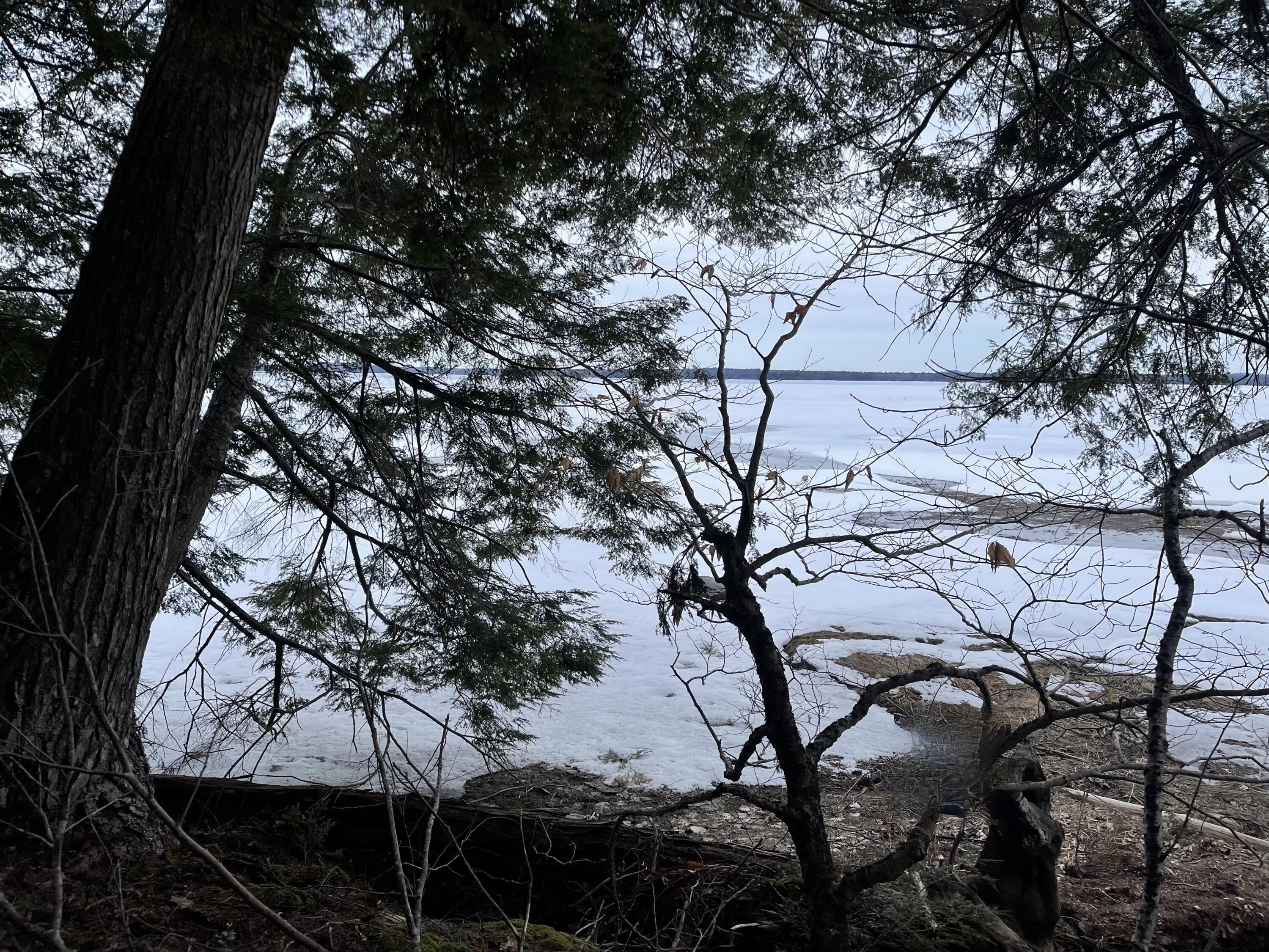 1093 Mariaville Road Ellsworth, ME 04605 - Photo 12 of 14 View Through Trees